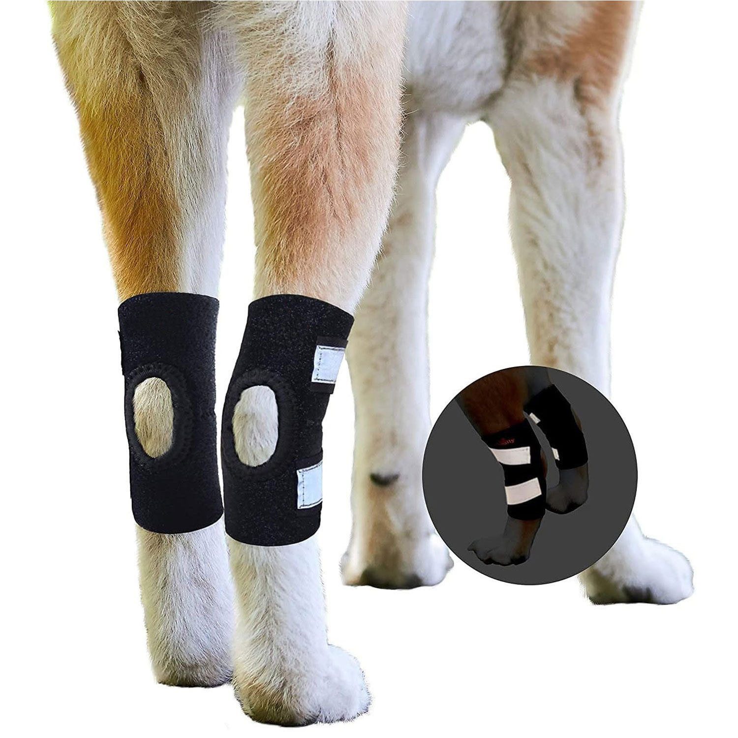 Stützbandage Hunde-Kniestütze für Beinstütze bei Gelenkbandverletzungen