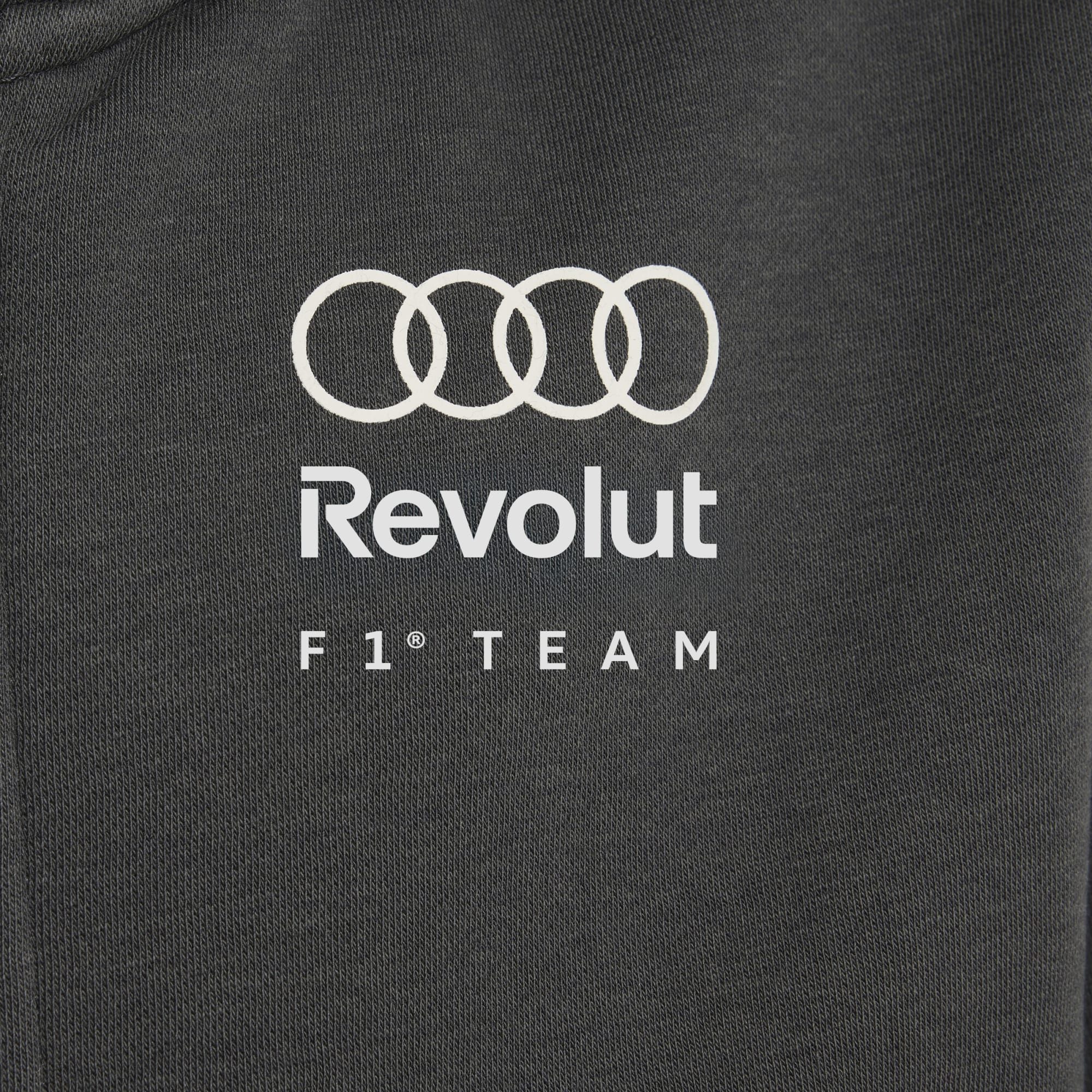 adidas Performance Kapuzensweatjacke AUDI REVOLUT F1 TEAM DNA FULL ZIP HOODIE (1-tlg)