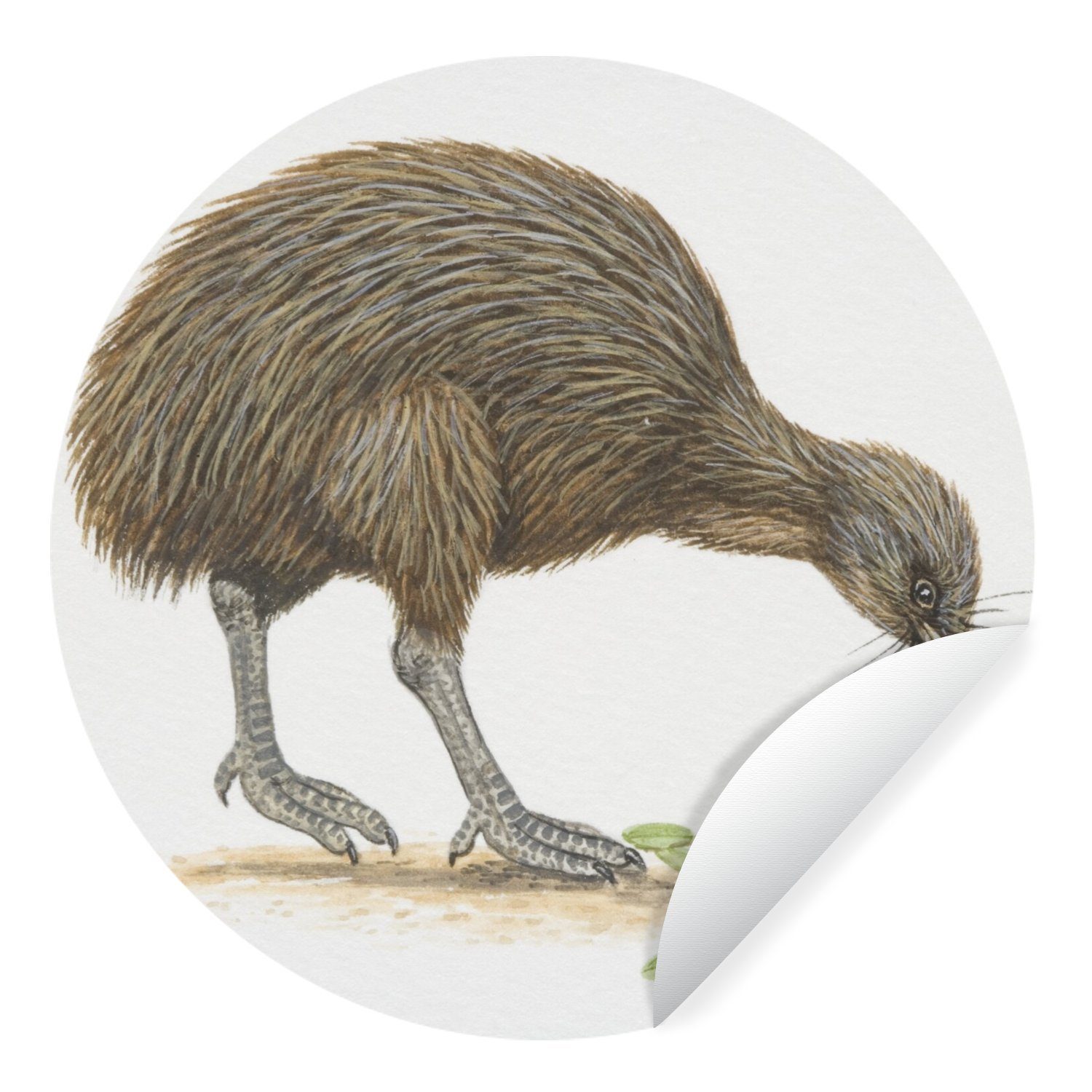 MuchoWow Wandsticker Illustration eines Kiwi-Vogels, der Blätter frisst (1 St), Tapetenkreis für Kinderzimmer, Tapetenaufkleber, Rund, Wohnzimmer