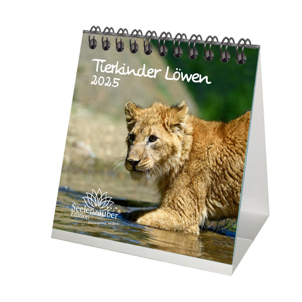Seelenzauber Tischkalender Tierkinder Löwen Kalender für 2025 Format 10cm x 10cm
