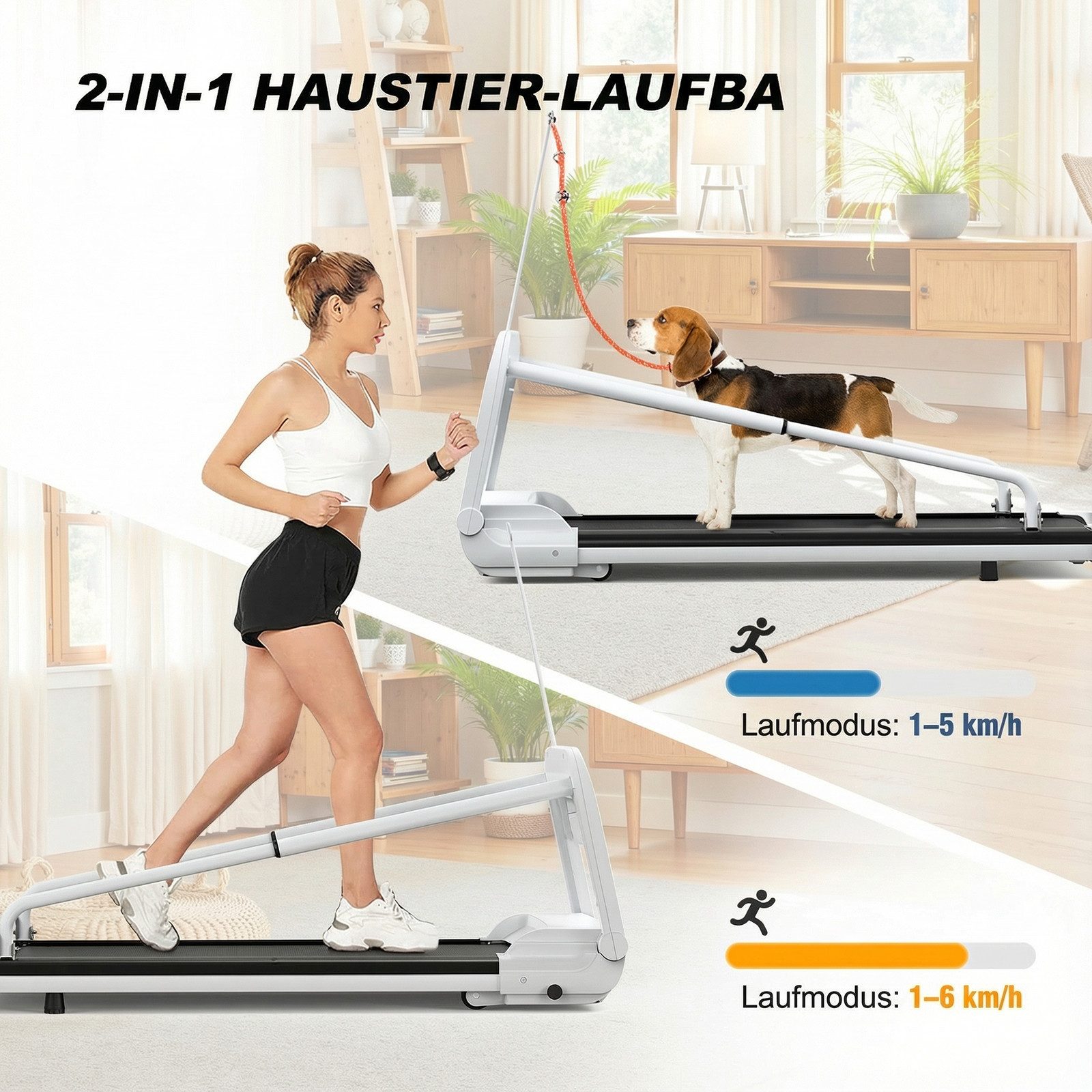 BAYMATE Laufband Hundelaufband mit 2,5 PS Motor - Große Lauffläche 100x40 cm (Extra großes Laufbrett (100 x 40 cm) – Geeignet für mittelgroße bis große Hunde)