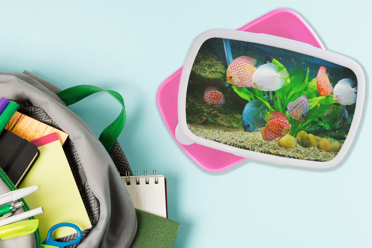 in für Kunststoff, Brotbox Snackbox, Erwachsene, einem Kunststoff rosa Mädchen, Fische Kinder, Lunchbox (2-tlg), Brotdose MuchoWow Aquarium,