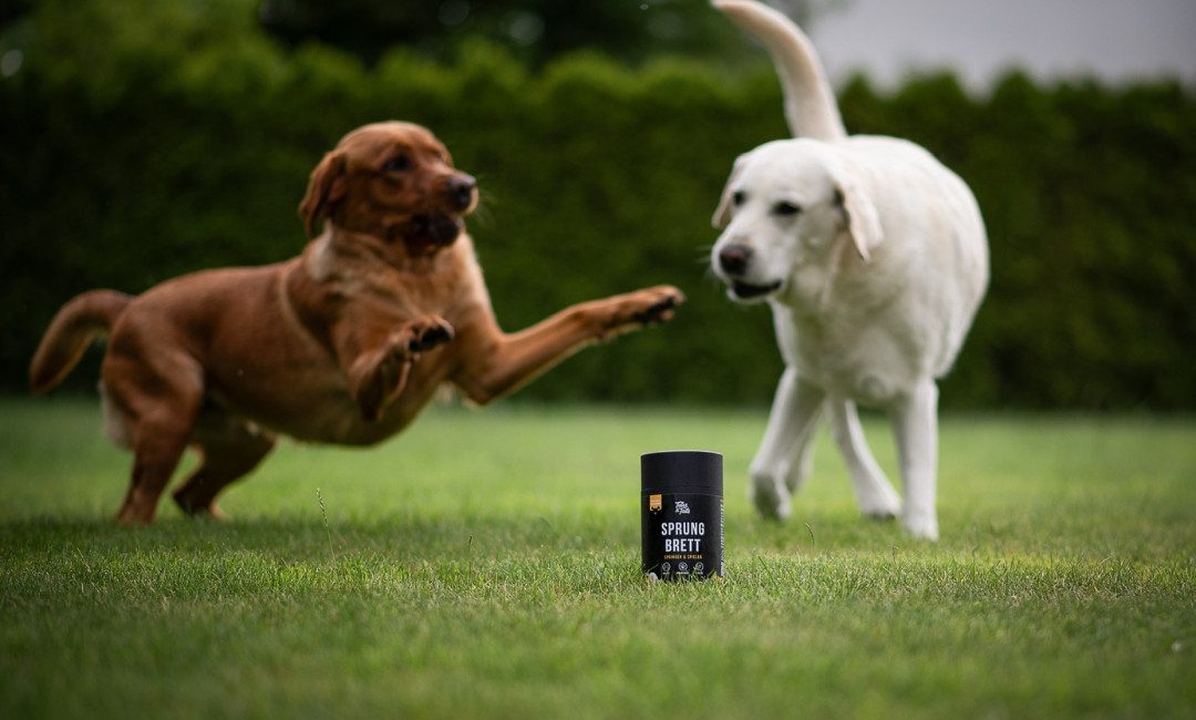 Tales & Tails Sprungbrett - Funktionaler Hundesnack, Snack für: Hunde