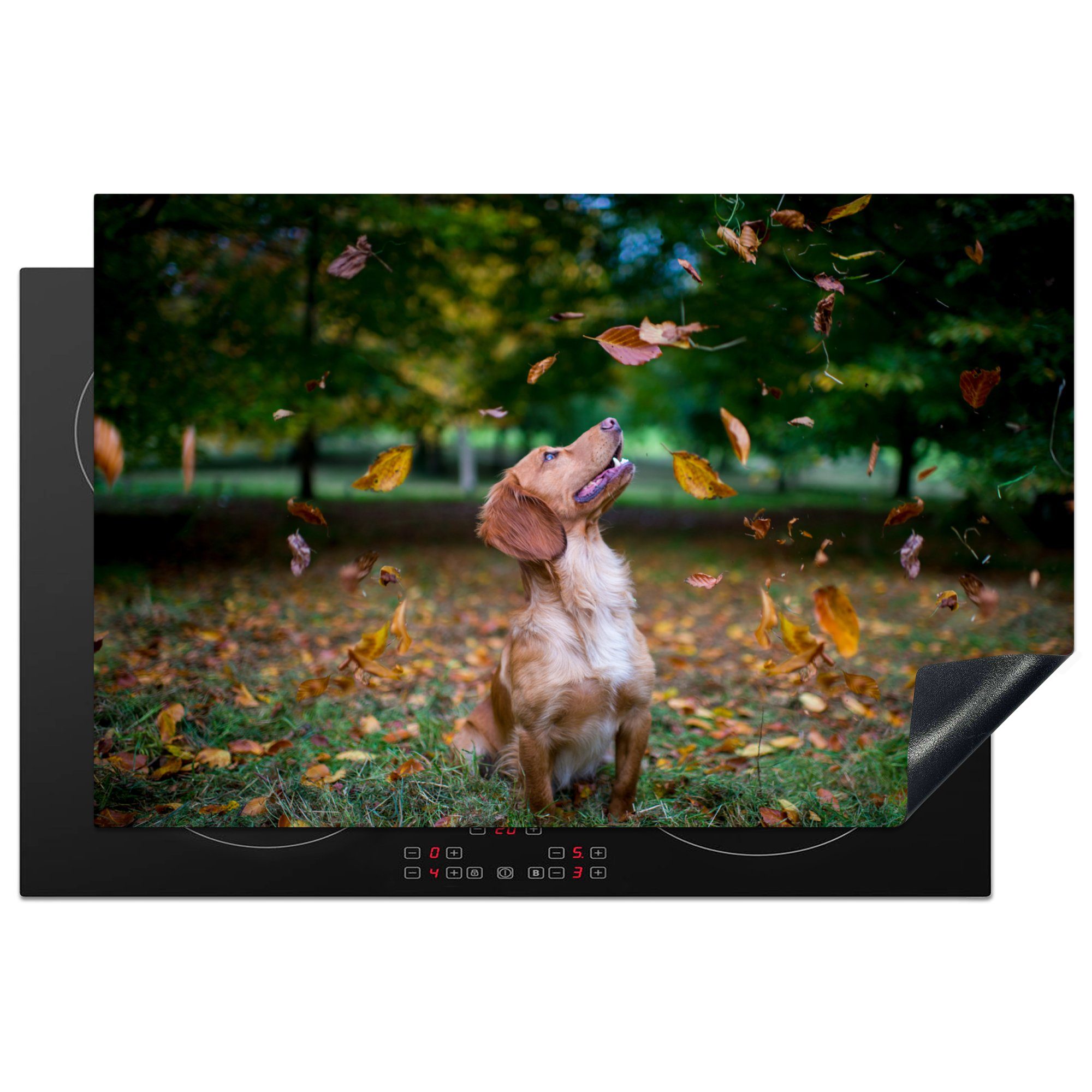 MuchoWow Herdblende-/Abdeckplatte Ein englischer Cockerspaniel spielt mit Blättern, Vinyl, (1 tlg), 81x52 cm, Induktionskochfeld Schutz für die küche, Ceranfeldabdeckung