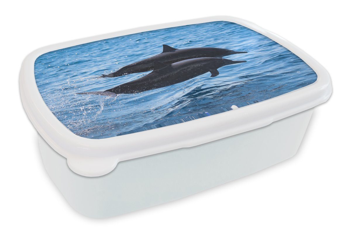 MuchoWow Lunchbox Delfin - Meer - Tier, Kunststoff, (2-tlg), Brotbox für Kinder und Erwachsene, Brotdose, für Jungs und Mädchen weiß