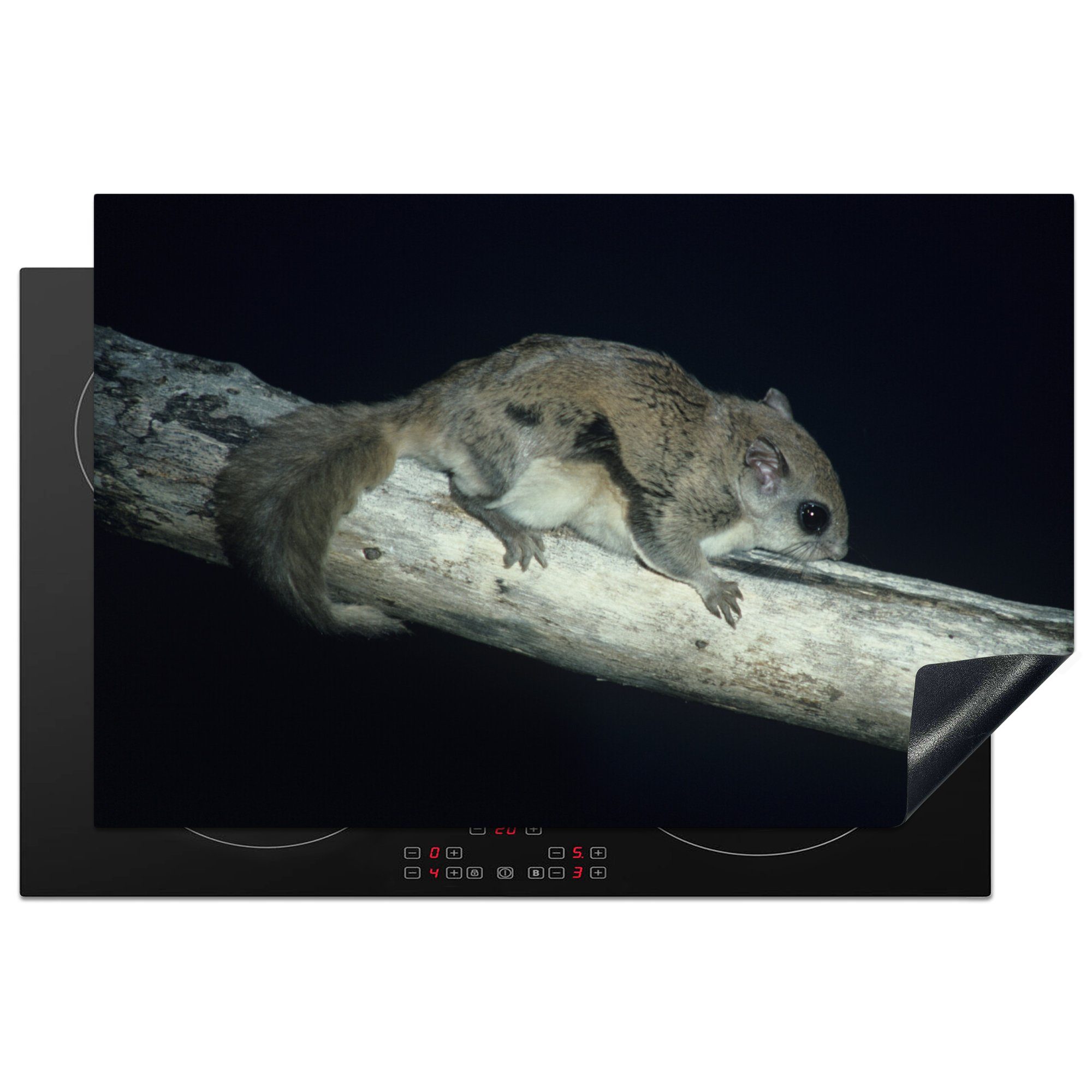 MuchoWow Herdblende-/Abdeckplatte Fliegendes Eichhörnchen auf einem Balken, Vinyl, (1 tlg), 81x52 cm, Induktionskochfeld Schutz für die küche, Ceranfeldabdeckung