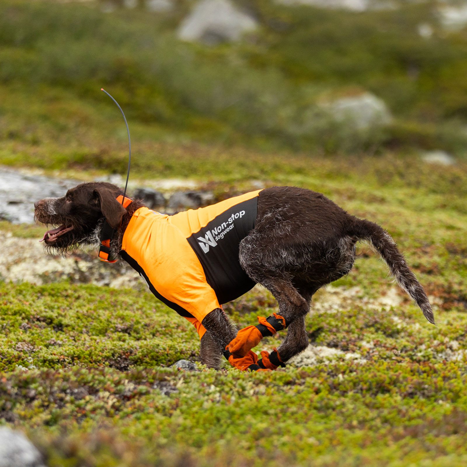 Non-stop dogwear Hundeweste Protector Half-Suit, für zusätzlichen Schutz