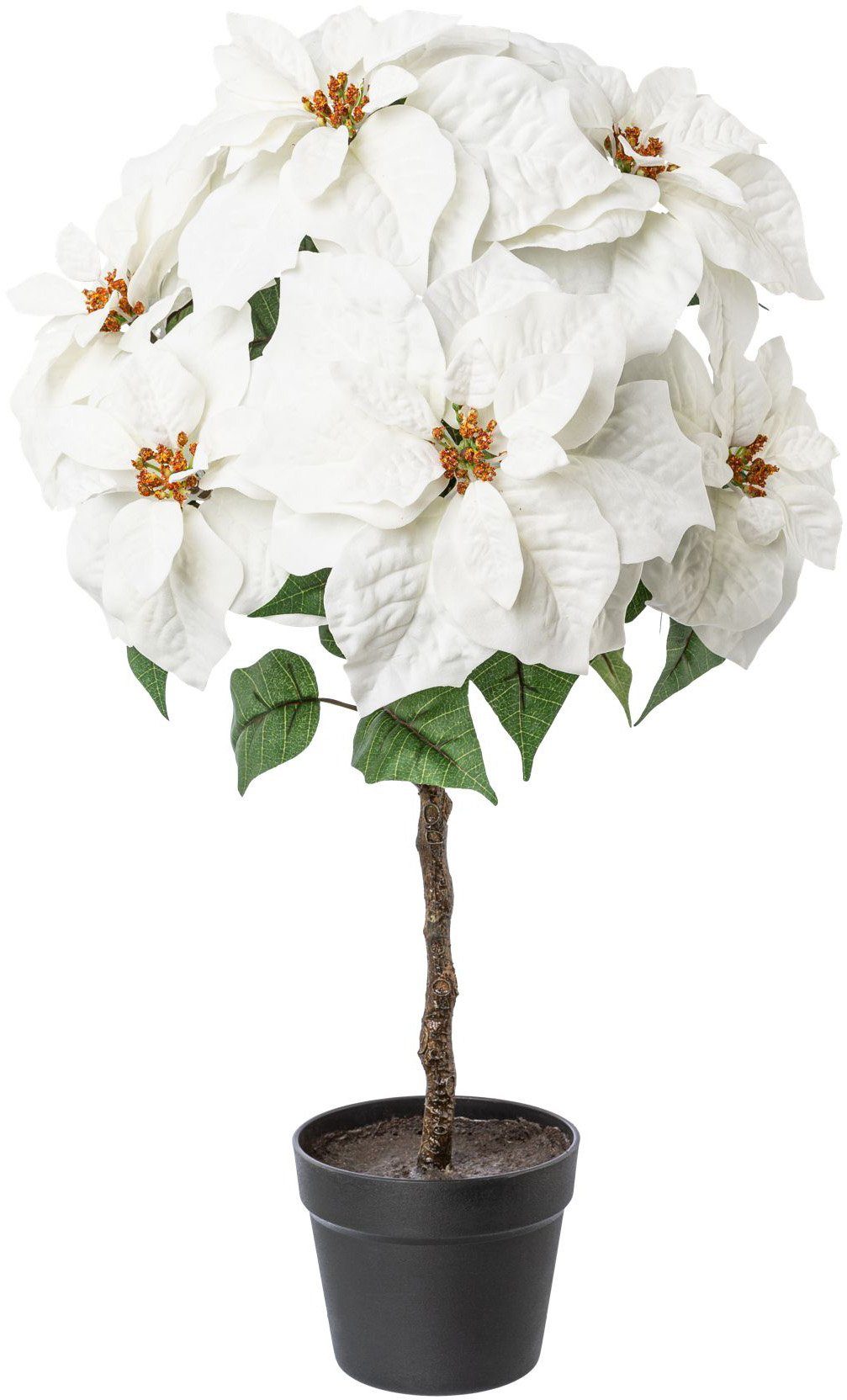 Winterliche Kunstpflanze Weihnachtsdeko Weihnachtsstern, Creativ deco, Höhe günstig online kaufen