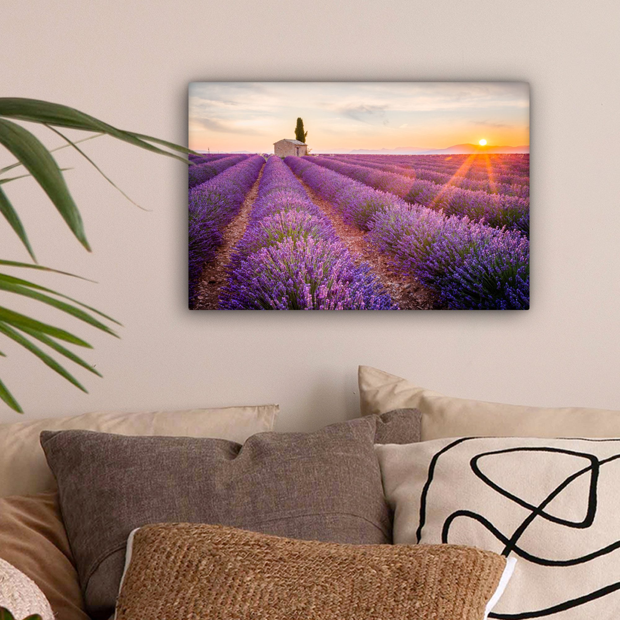 OneMillionCanvasses® Leinwandbild Lavendel - Sonnenuntergang - günstig online kaufen