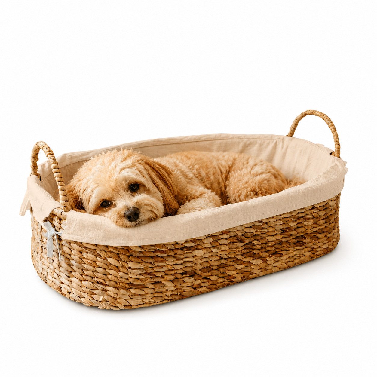 Geuther Hundekorb aus natürlicher Wasserhyazinthe und Bio-Baumwolle, Baumwolle, 100% natürlich
