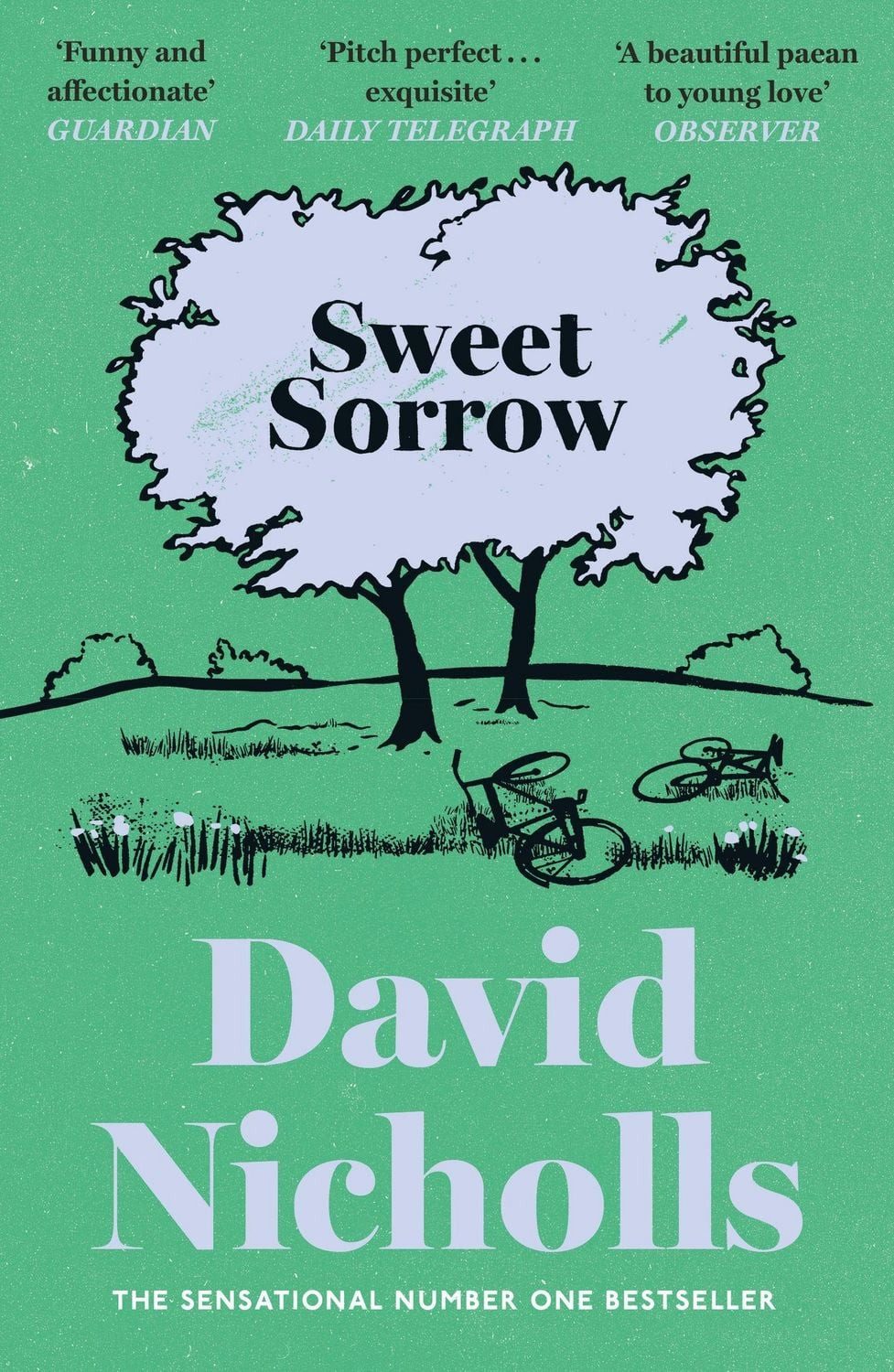 Sweet Sorrow / David Nicholls