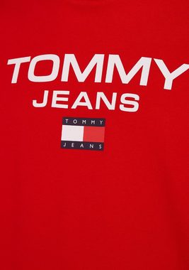 Tommy Jeans Kapuzensweatshirt TJM REG ENTRY HOODIE mit Logodruck