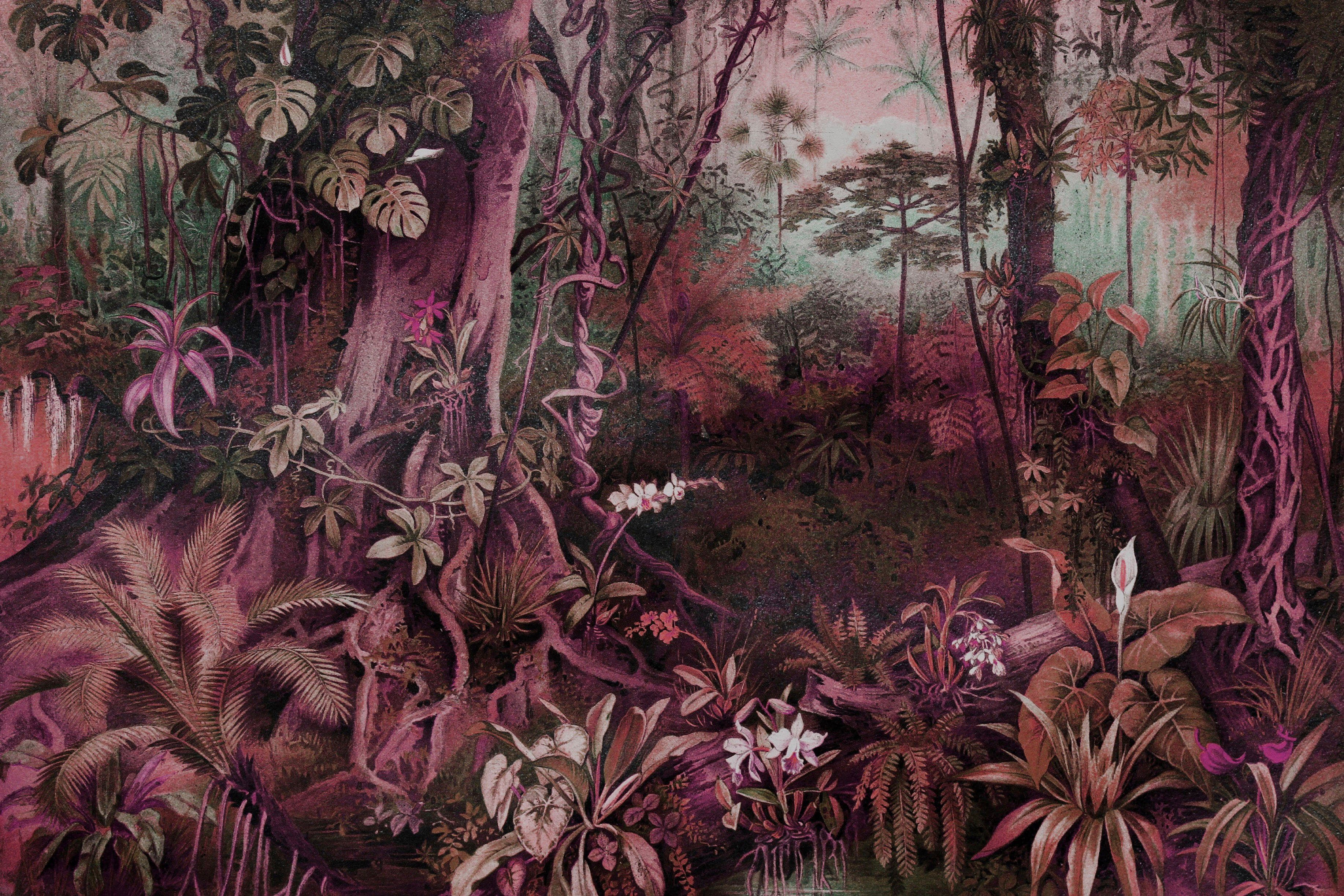 jungle, (1 pink, A.S. rosa Leinwandbild rot, St), Wald Bild Keilrahmen Dschungel Création