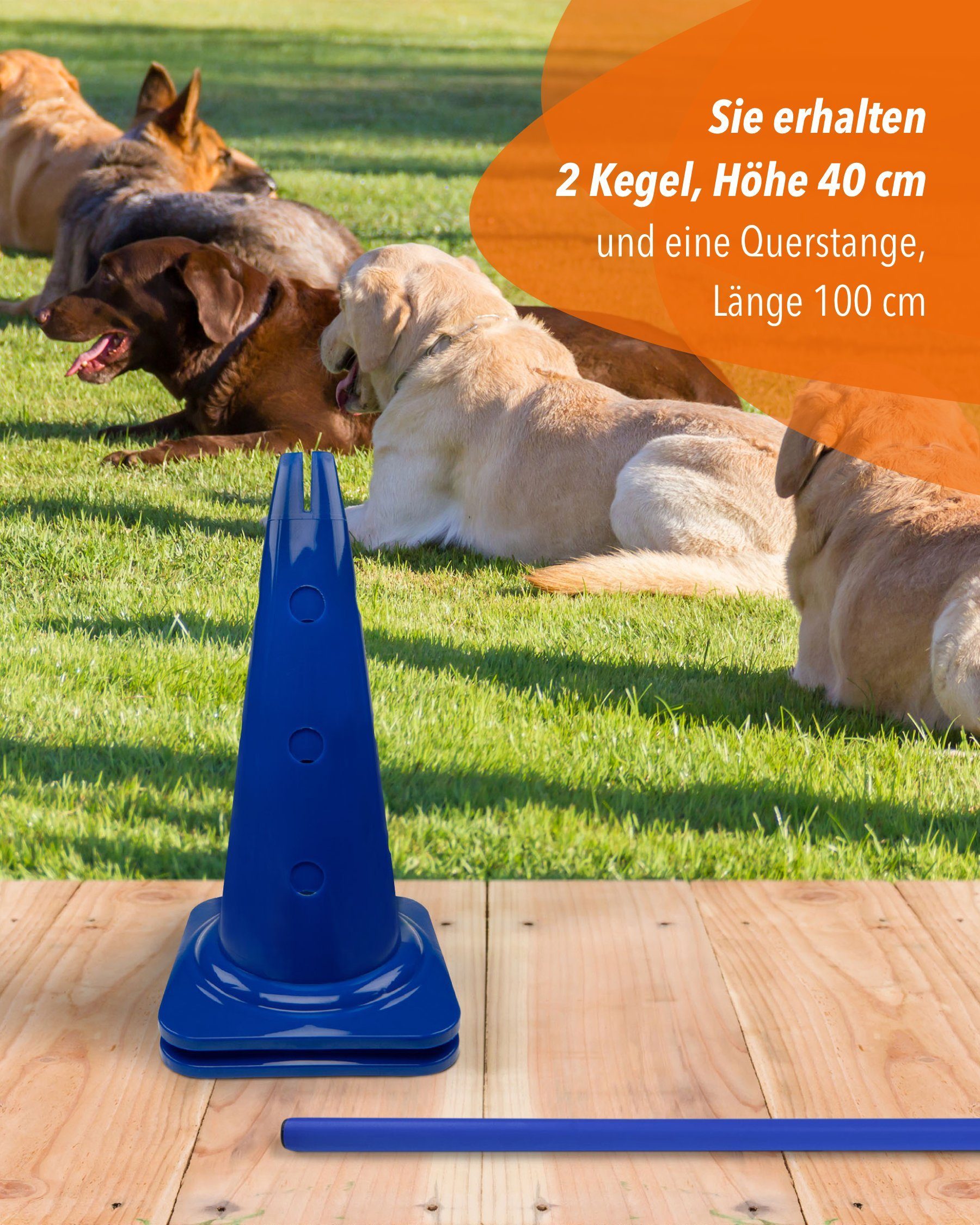 Superhund Hürde Kegelhürde 40 mit Stange 100 cm Farbe Gelb