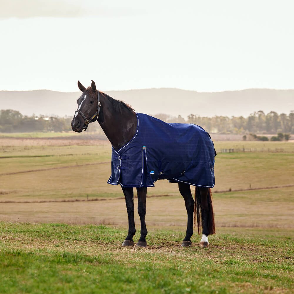 Pferde-Thermodecke Weatherbeeta Comfitec Prelim Turnout 220g