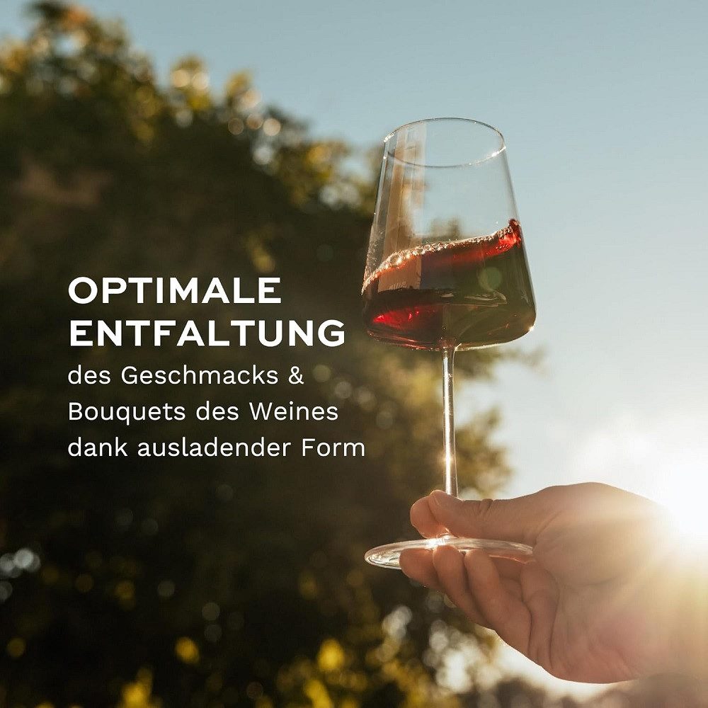 Stölzle Weinglas Stölzle Lausitz Power Rotweinkelch Set 12tlg, Glas