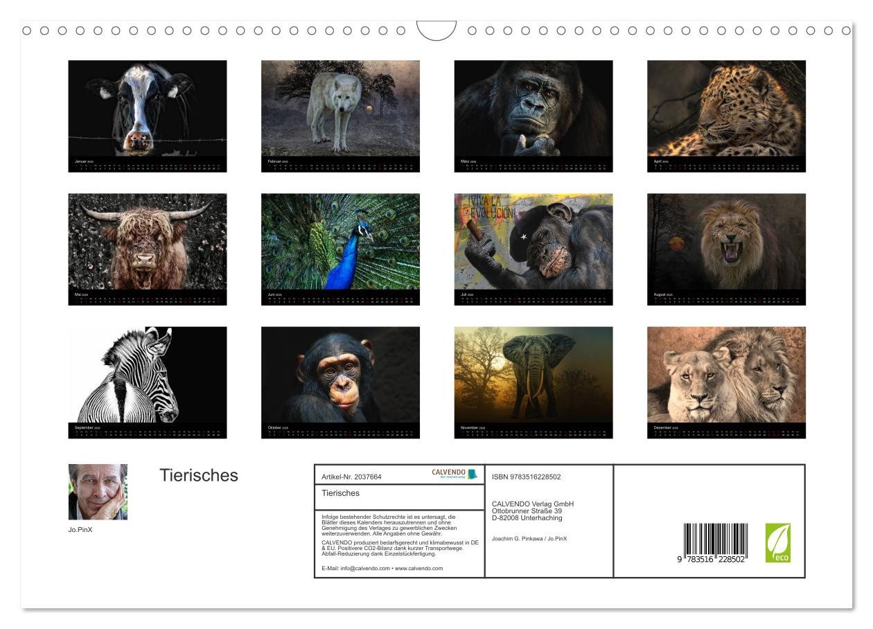 Thumbnail - CALVENDO Wandkalender Tierisches (Wandkalender 2026 DIN A3 quer), CALVENDO Monatskalender