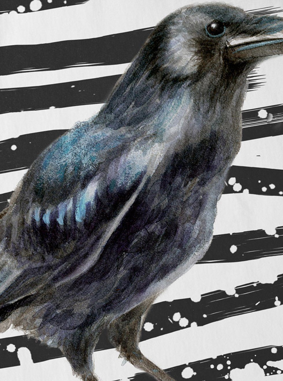 style3 T-Shirt Krähe winter vogel halloween günstig online kaufen