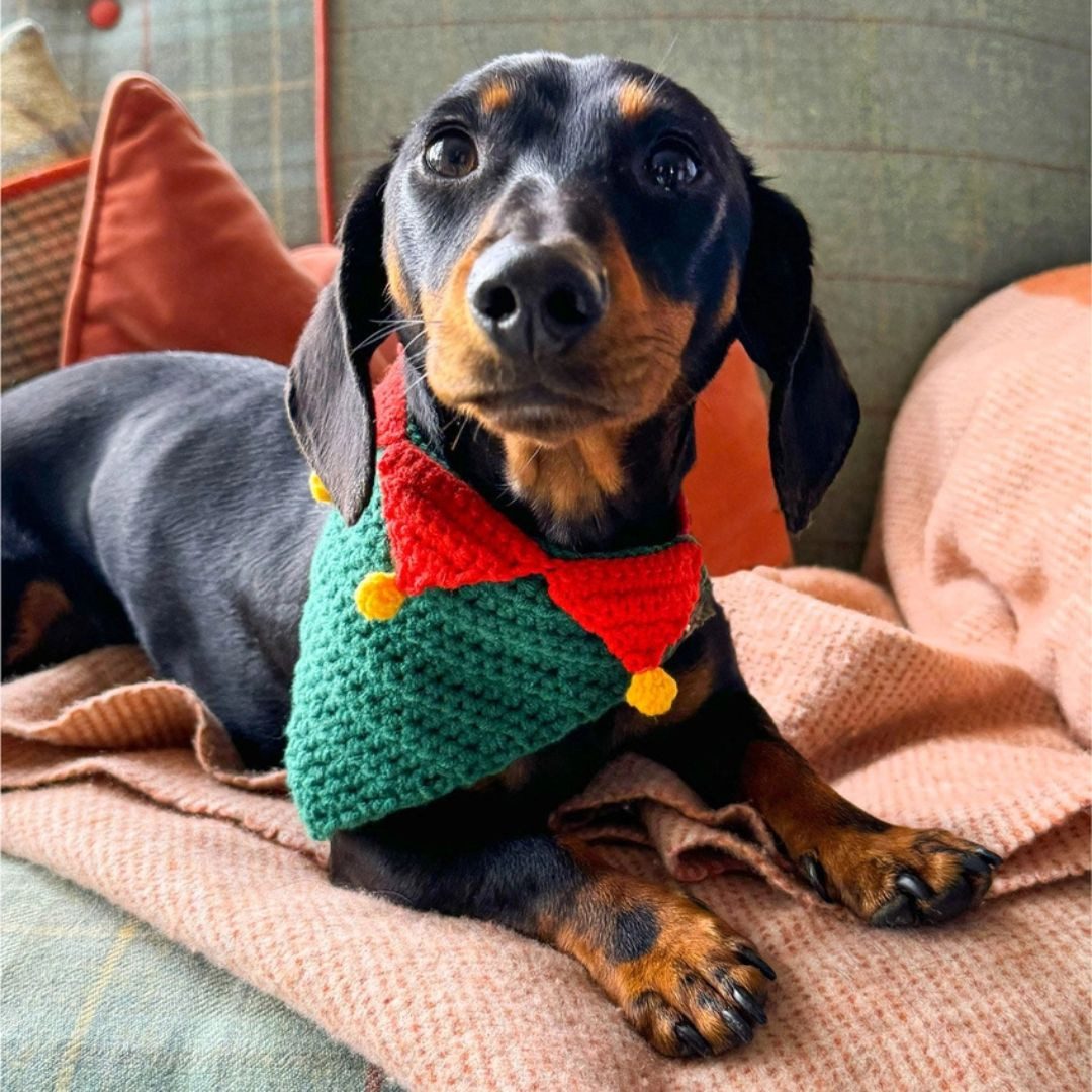 suebidou Hundekostüm Weihnachtsmanntuch für Haustiere Halstuch aus Strick festlicher Look, Strickset weich und bequem, kein Kratzen, anpassbar
