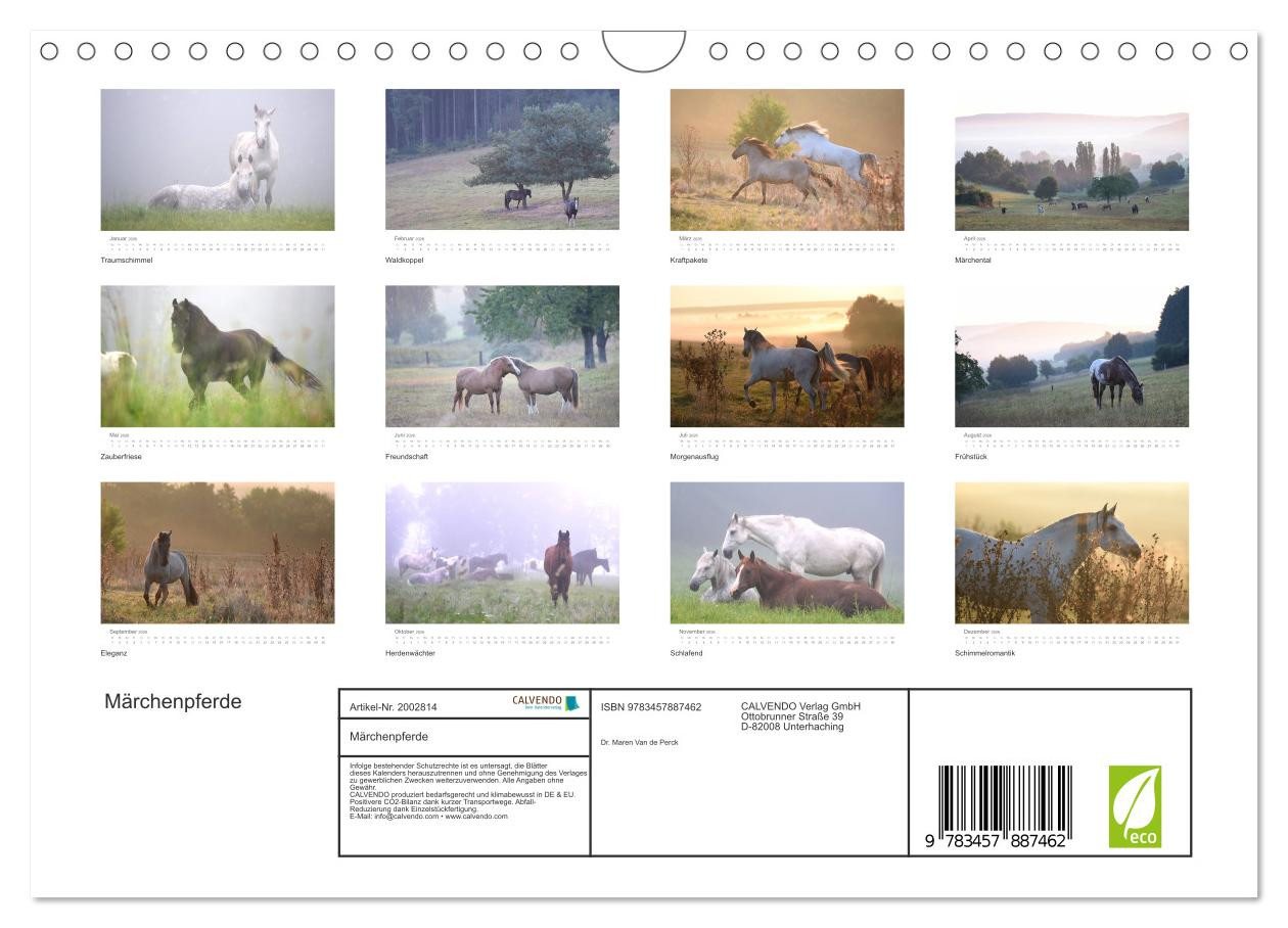 Thumbnail - CALVENDO Wandkalender Märchenpferde (Wandkalender 2026 DIN A4 quer), CALVENDO Monatskalender