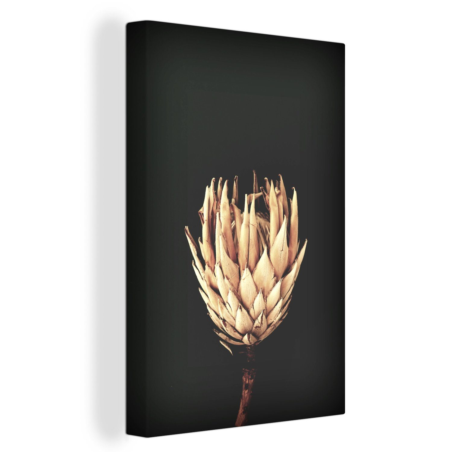 OneMillionCanvasses® Leinwandbild Blume - 20x30 inkl. - Zackenaufhänger, Leinwandbild bespannt Stilleben, cm St), fertig Exotisch Gemälde, (1