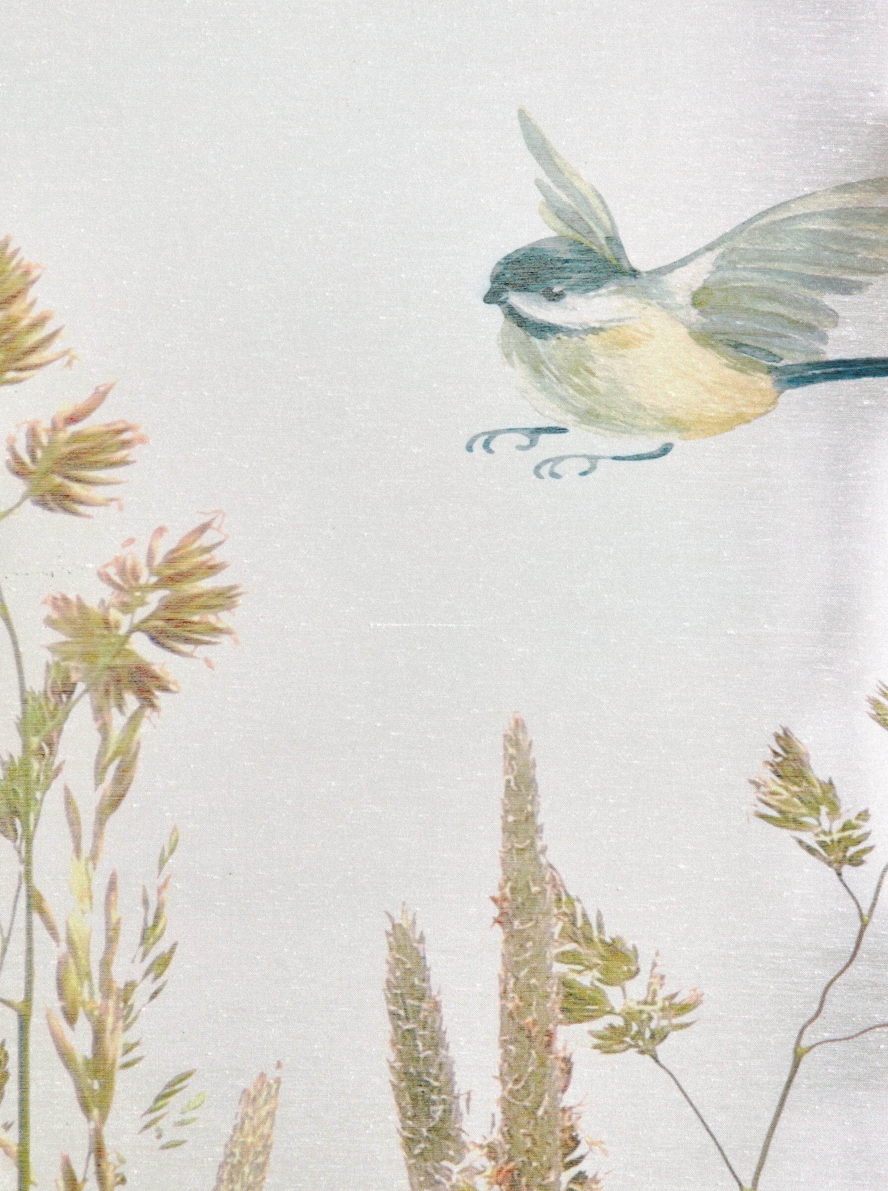 Rollo Raffrollo, heine, halbtransparent, Ösen günstig online kaufen