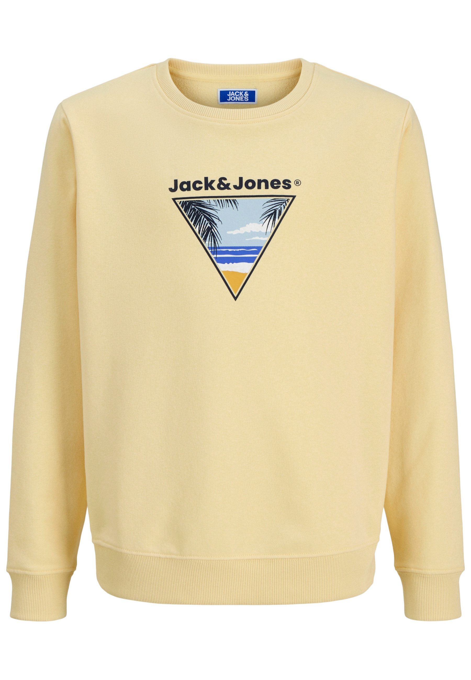 Sweatshirt Pullover PERRY Sweatshirt
