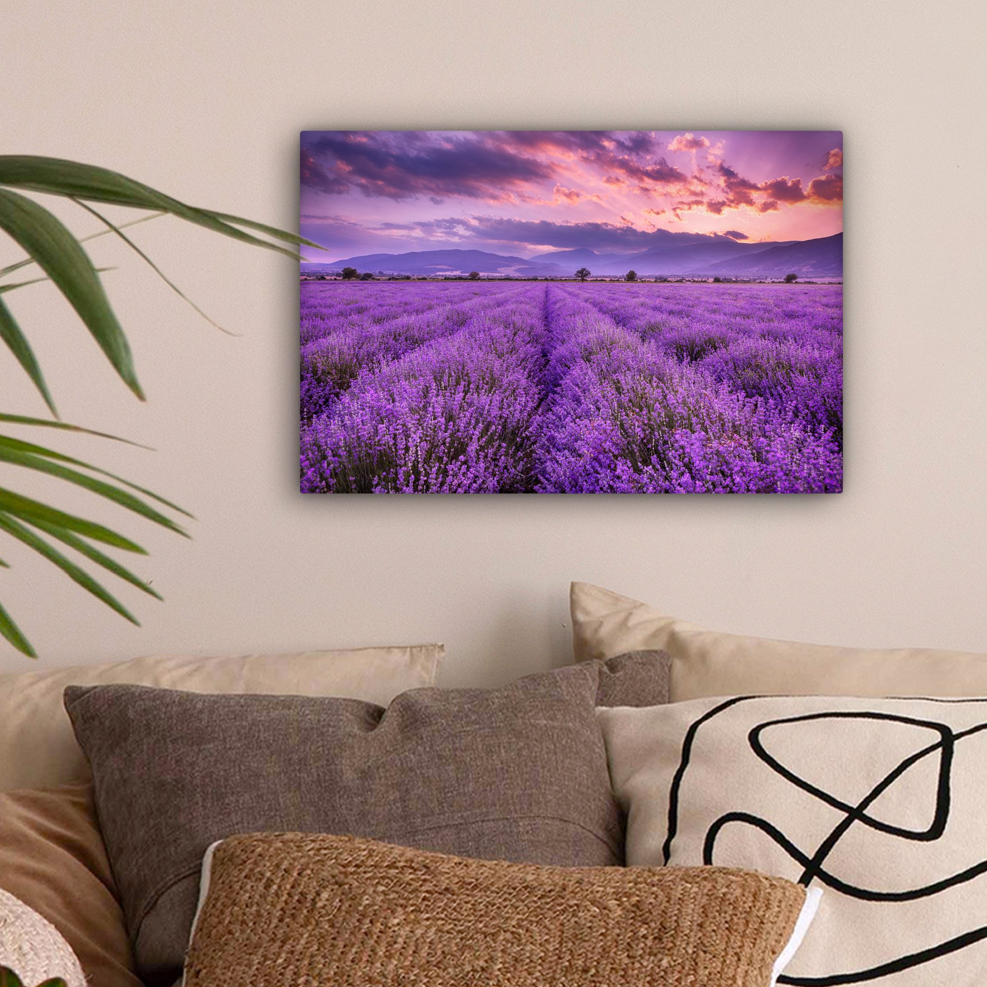 OneMillionCanvasses® Leinwandbild Lavendel - Lila - Blumen - Feld, Fotodruc günstig online kaufen