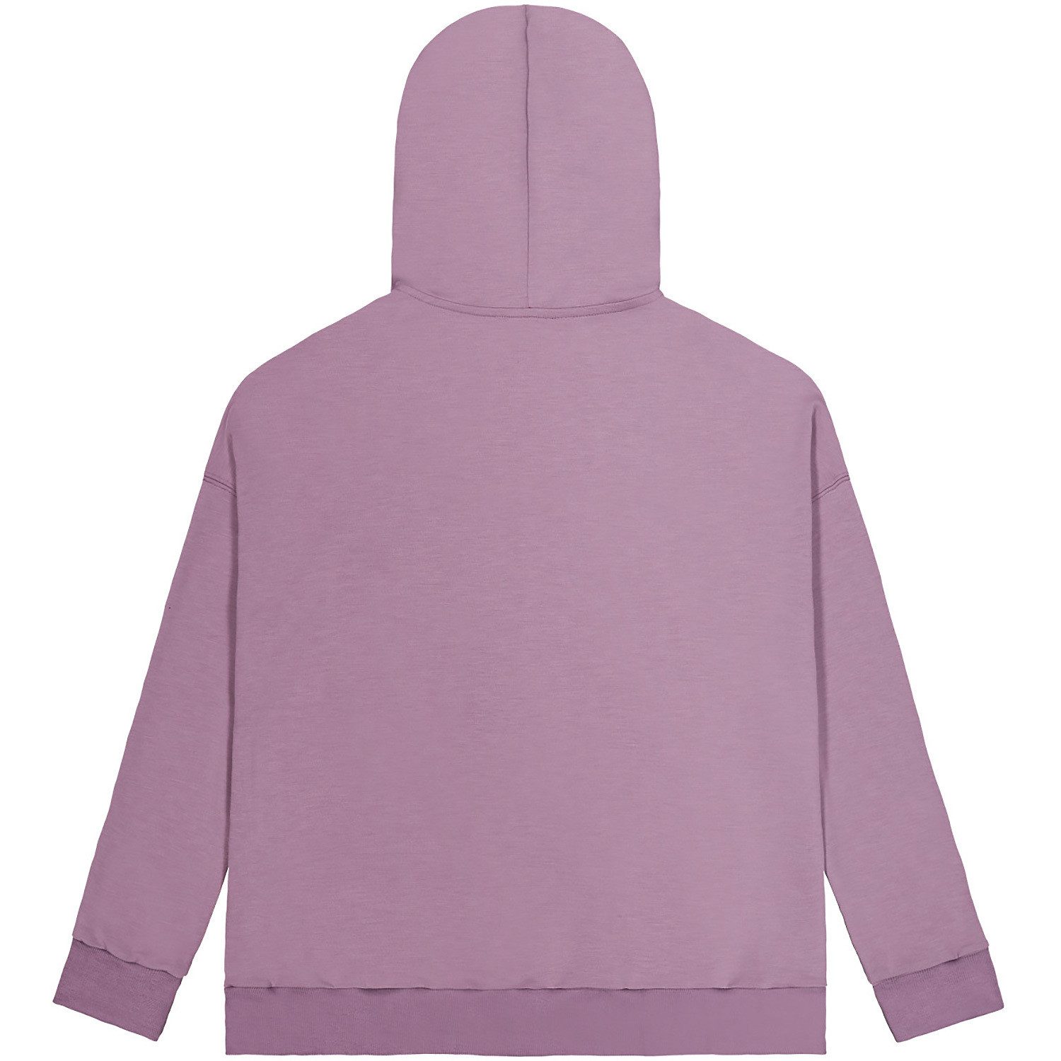 Picture Hoodie Kapuzenpullover W BACKWASH TECH HOODIE