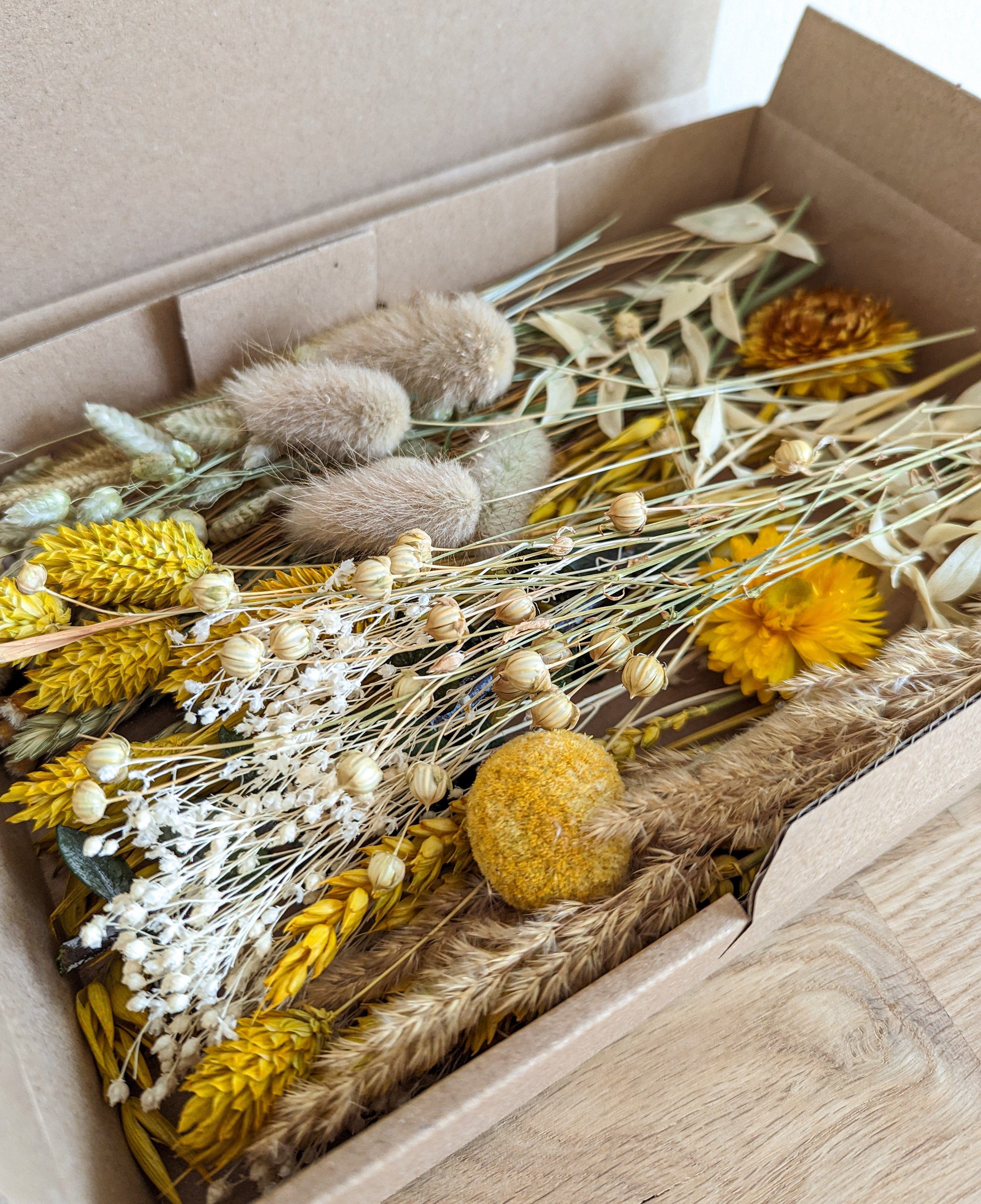 Trockenblume Trockenblumen Deko Box Mix Gelb Natur für DIY Projekte, DekoPanda