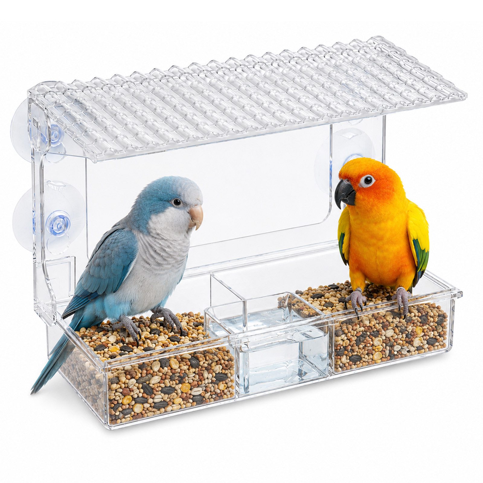 Youyijia Futterspender Vogelfutterhaus Fenster mit Saugnäpfen transparent 25×16,5×10 cm