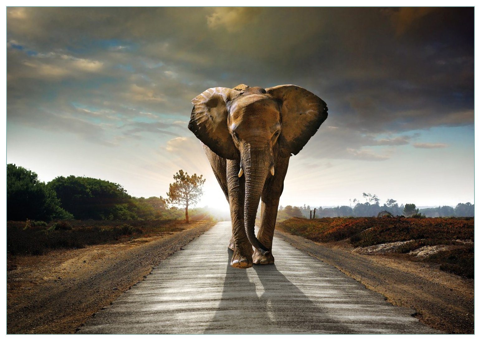 Wallario Glasbild, Elefant bei Sonnenaufgang in Afrika, in verschiedenen Ausführungen