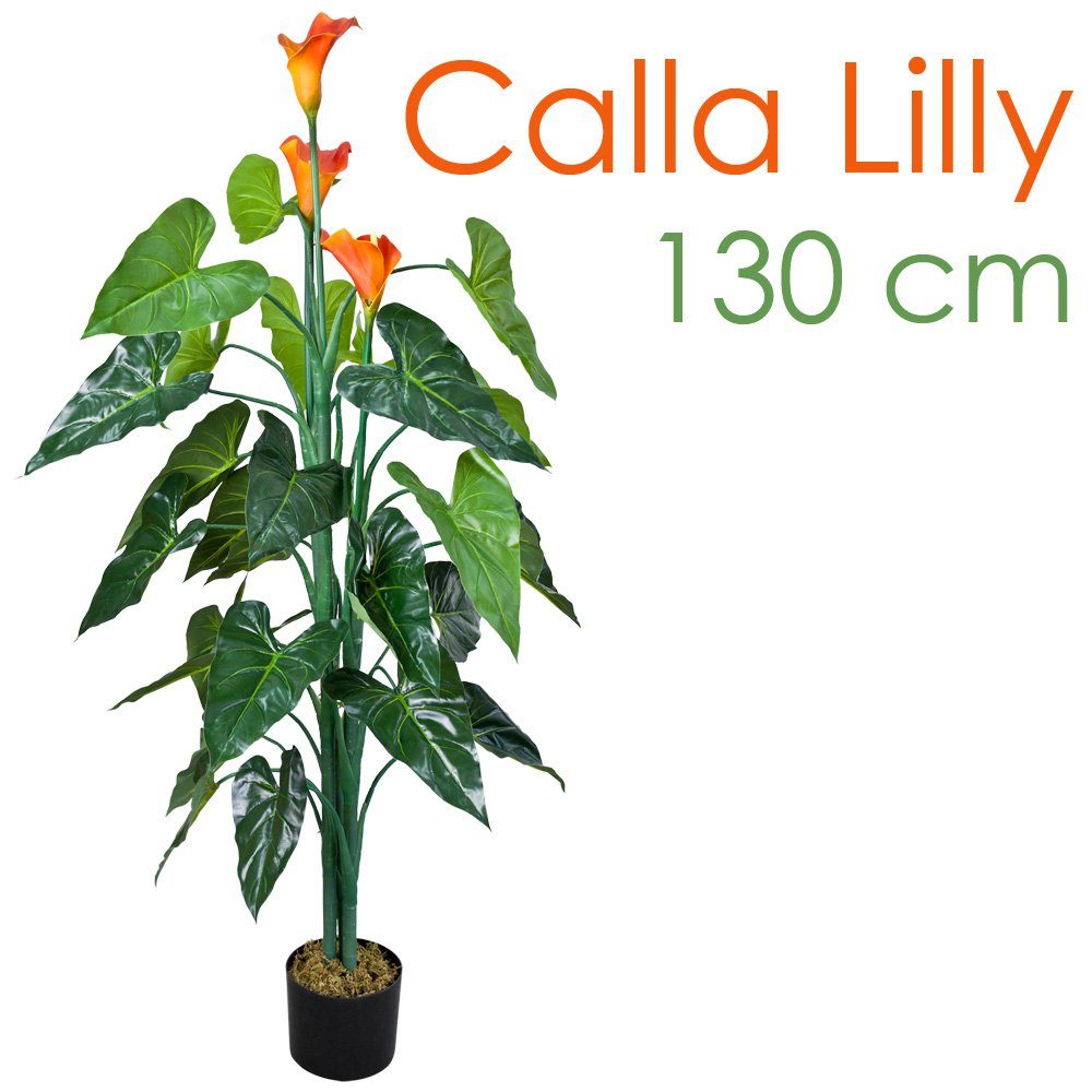Kunstpflanze Drachenwurz Calla Lily Kunstpflanze Künstliche Pflanze mit Topf 130 cm, Decovego, Höhe 130 cm