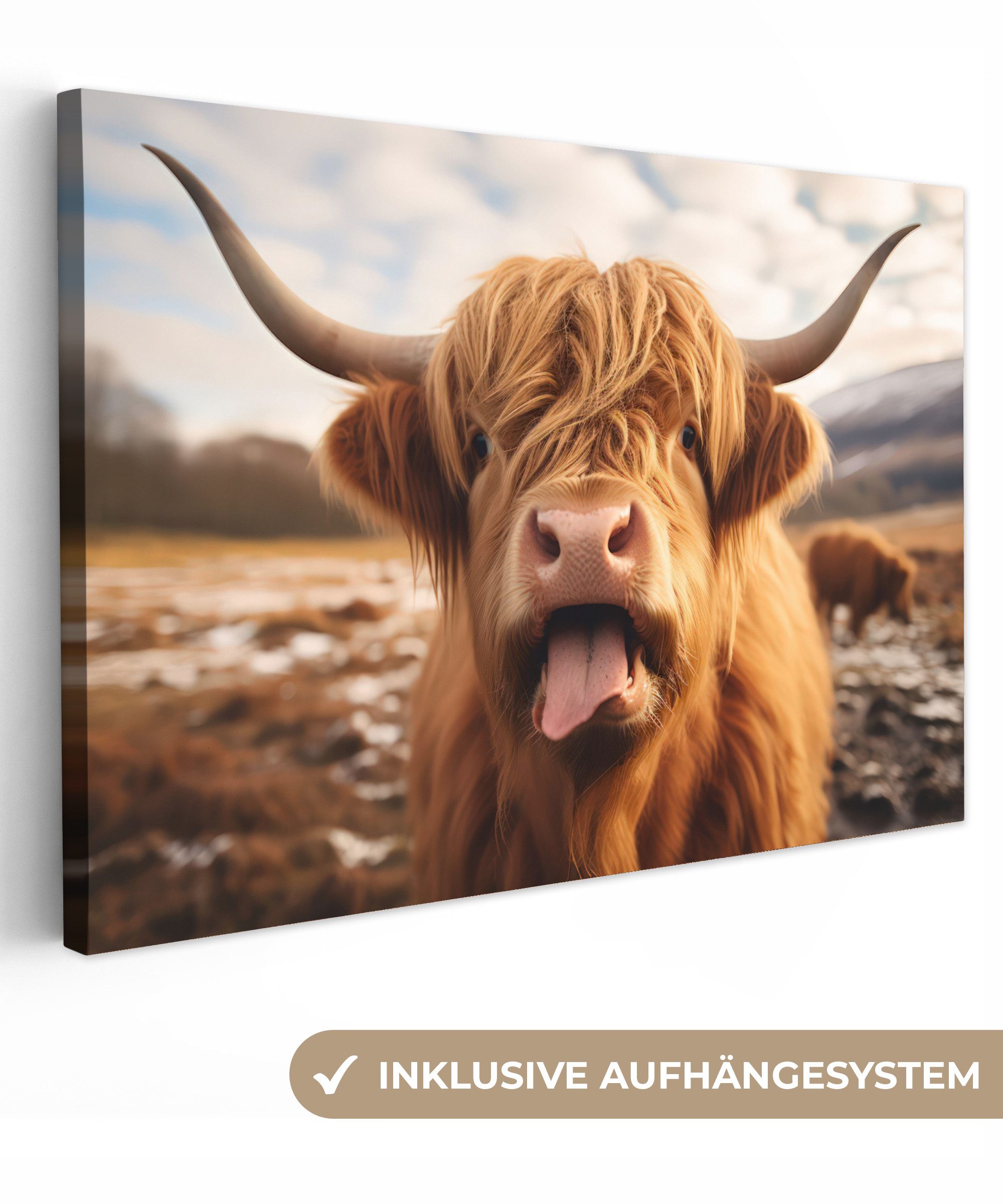 Schottischer Hochländer - Seezunge - Hörner