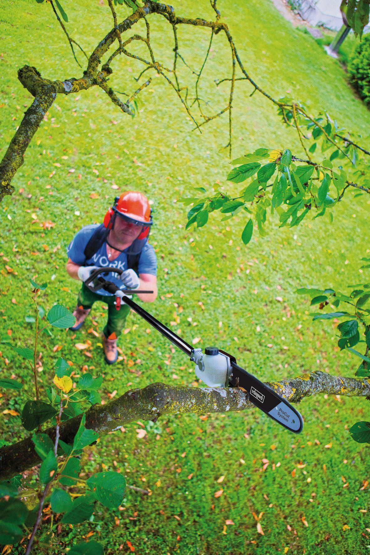 Scheppach Benzin-Motorsense MFH5300-4BP 4in1 ProCut, 25,5 cm Arbeitsbreite günstig online kaufen