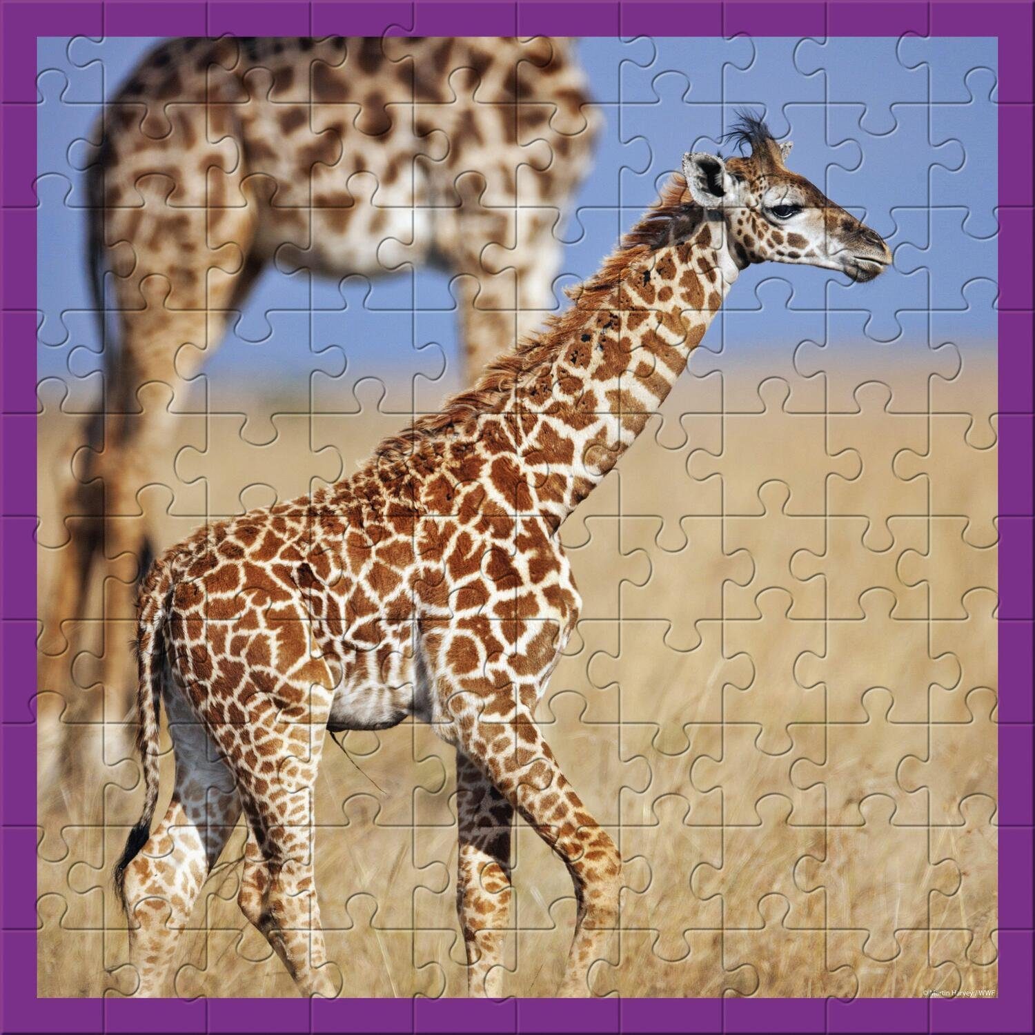 Puzzleteile 100 100 Teile, Puzzle Giraffen Carletto AMBASSADOR -