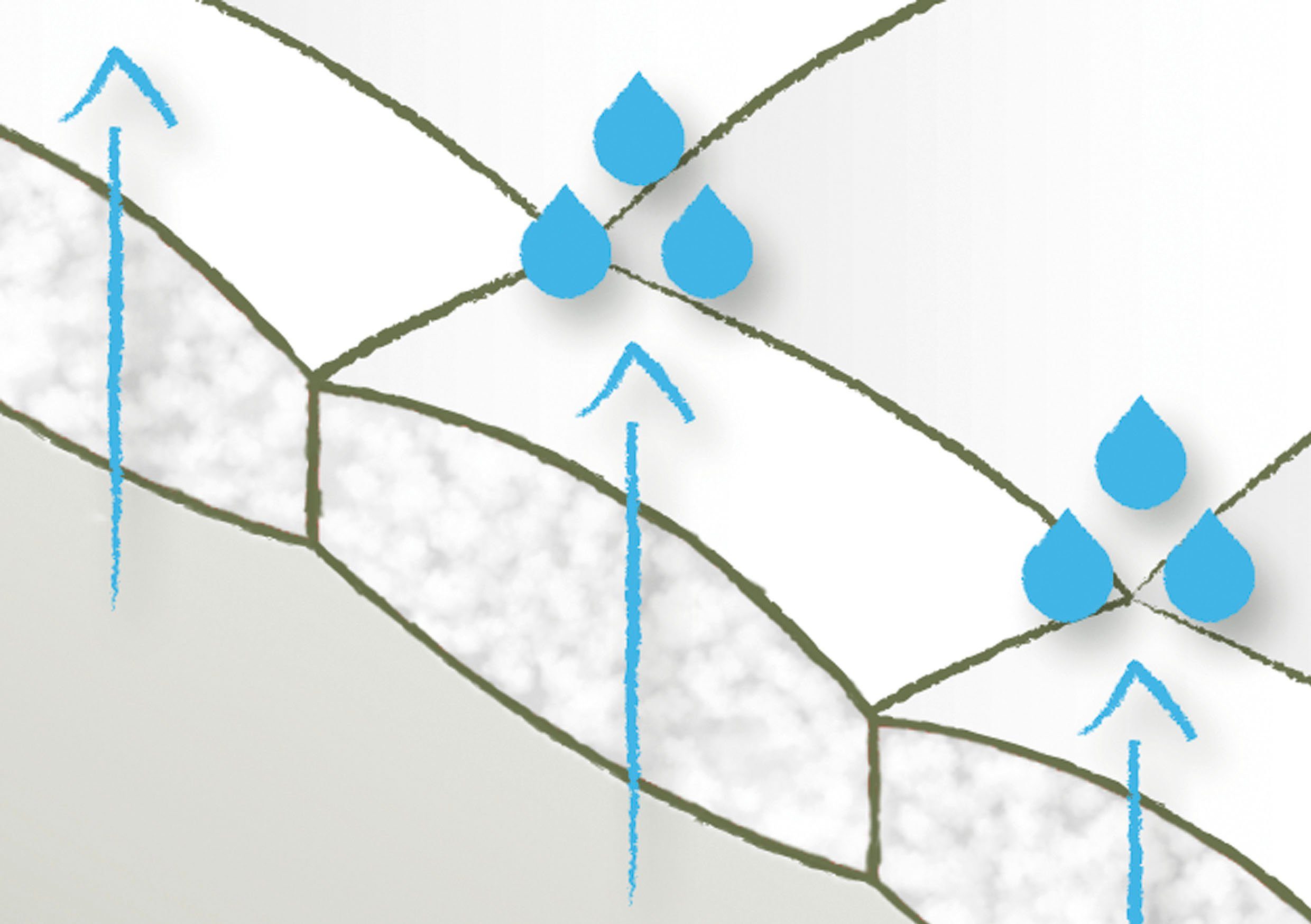 in Federn, fjödur, Daunen Bezug: Bio-Baumwolle, Bettdecken Größen 200 Daunenbettdecke, Füllung: Fleur, und erhältlich. 90% 135 weiteren % vielen 10 cm x