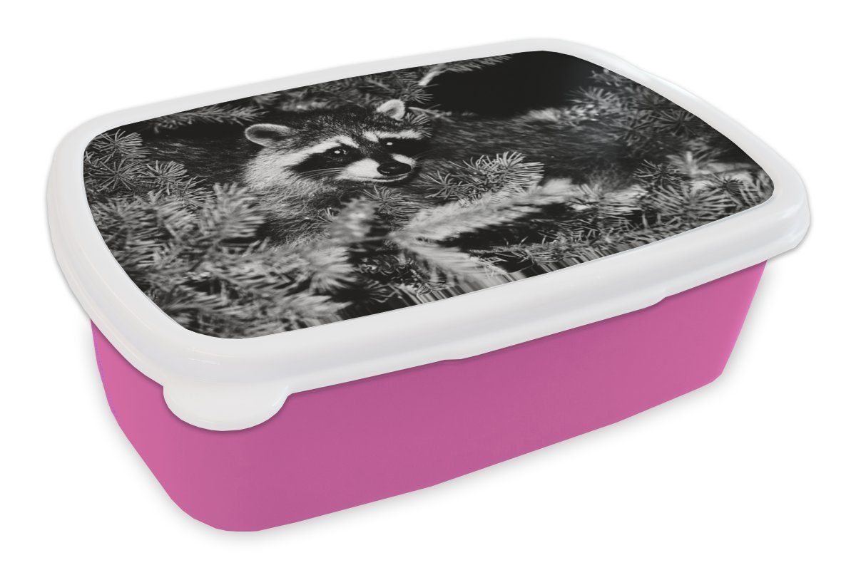 MuchoWow Lunchbox Waschbär in einer Kiefer, Kunststoff, (2-tlg), Brotbox für Erwachsene, Brotdose Kinder, Snackbox, Mädchen, Kunststoff rosa | Lunchboxen