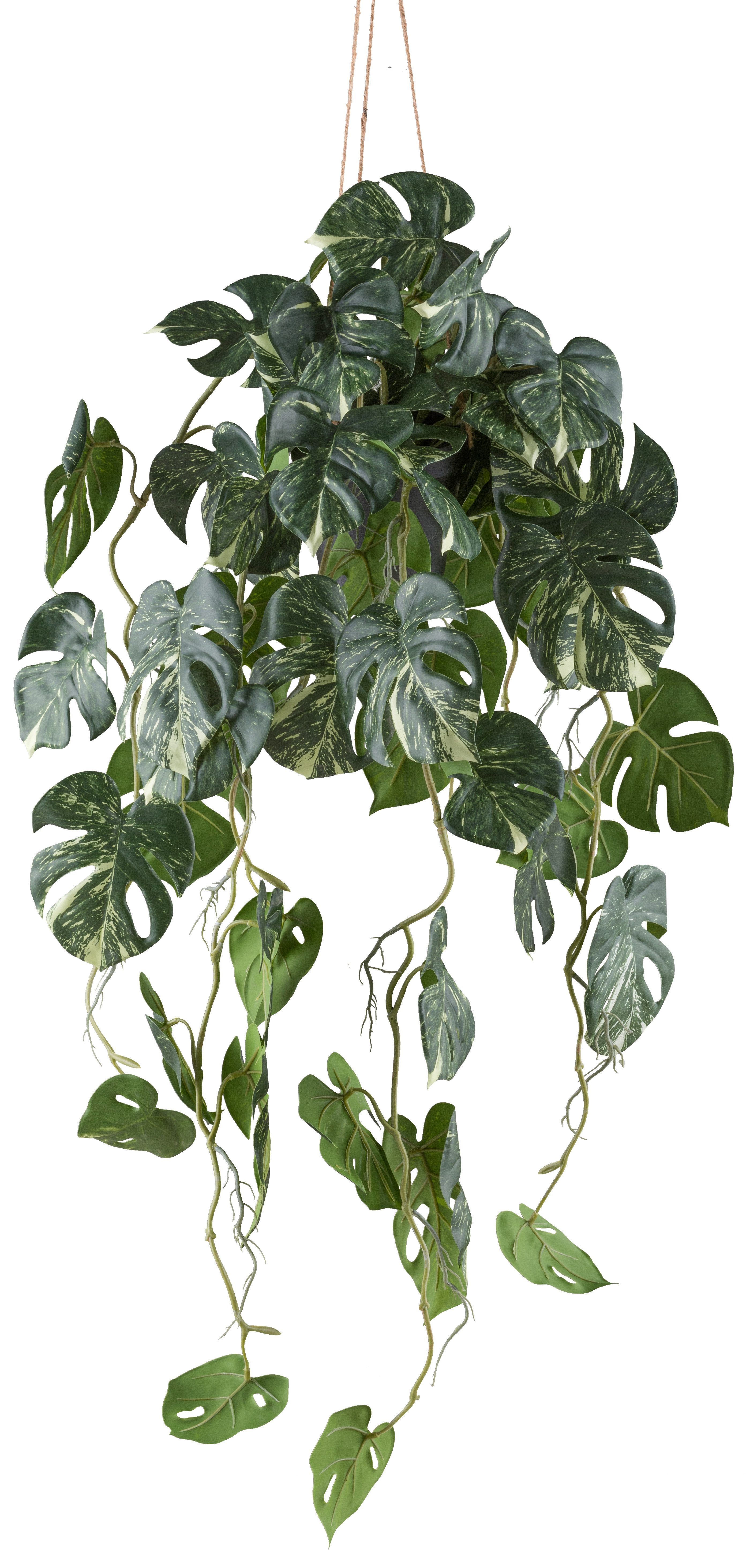 Kunstpflanze Philodendron varigata, Creativ green, Höhe 80 cm, mit Hängetop günstig online kaufen