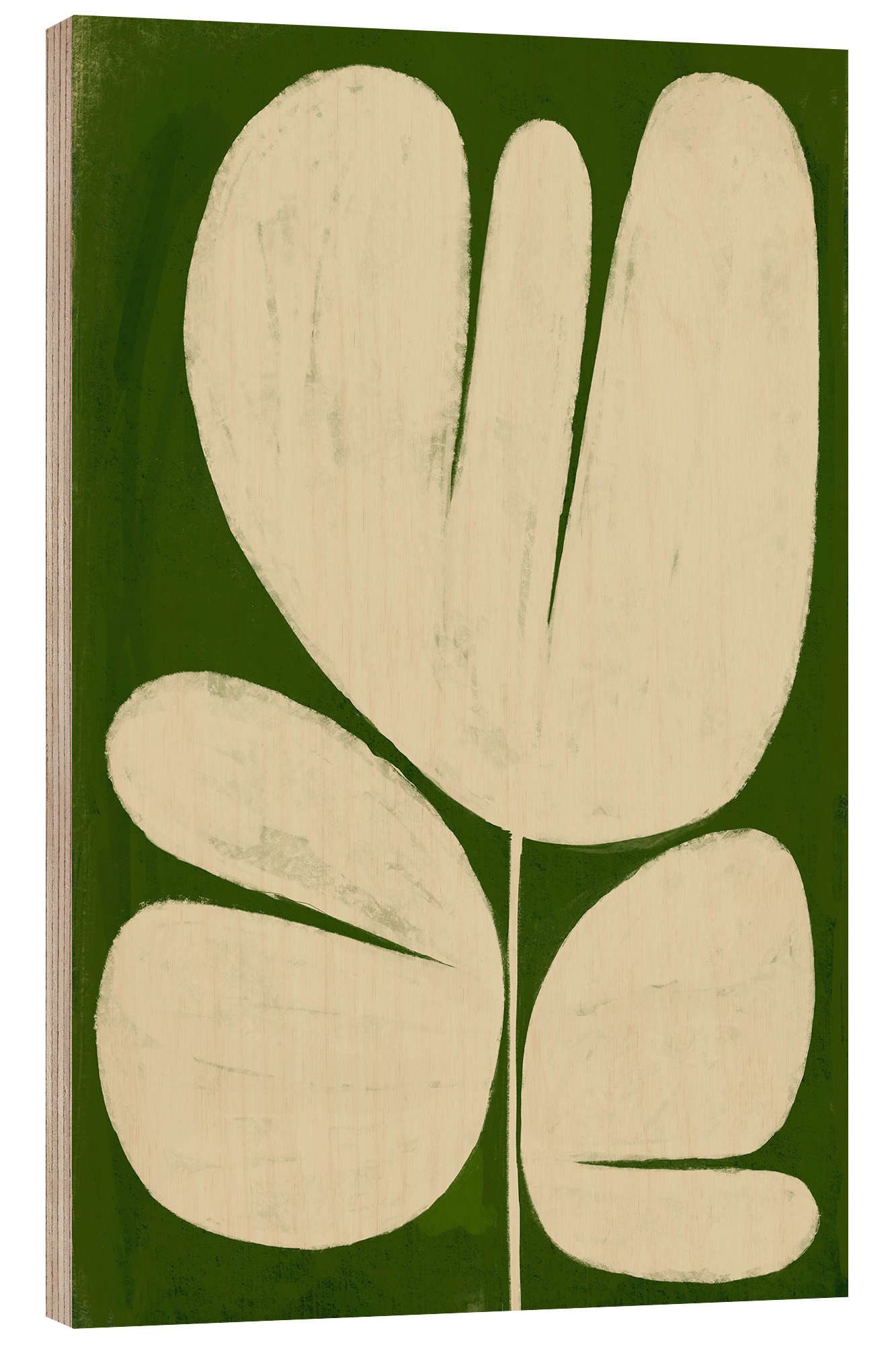 Posterlounge Wandbild Große weiße Blume auf Grün, Marco Marella, erhältlich als Poster, Leinwandbild, Wandsticker oder Acrylglasbild