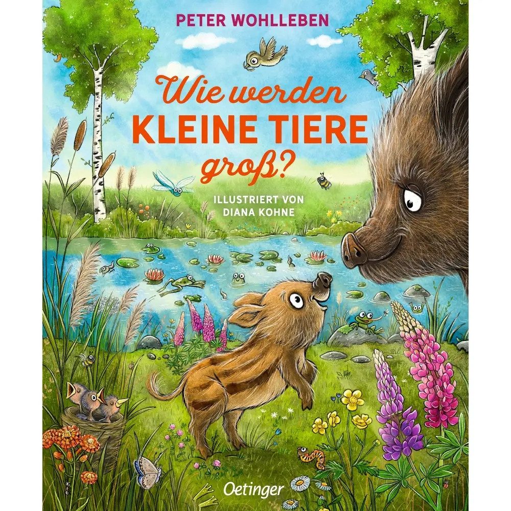Vedes Zeichenalbum Wie werden kleine Tiere groß?