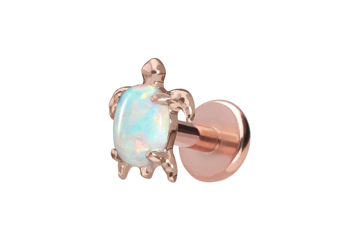 PIERCINGLINE Piercing-Set Titan Labret mit Push Fit SCHILDKRÖTE (Labrets, 1-tlg)