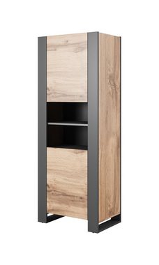 Domando Standvitrine Vitrine Cannigione in Wotan Eiche und Anthrazit Breite 65cm, Kufenoptik, schicke Farbkombination