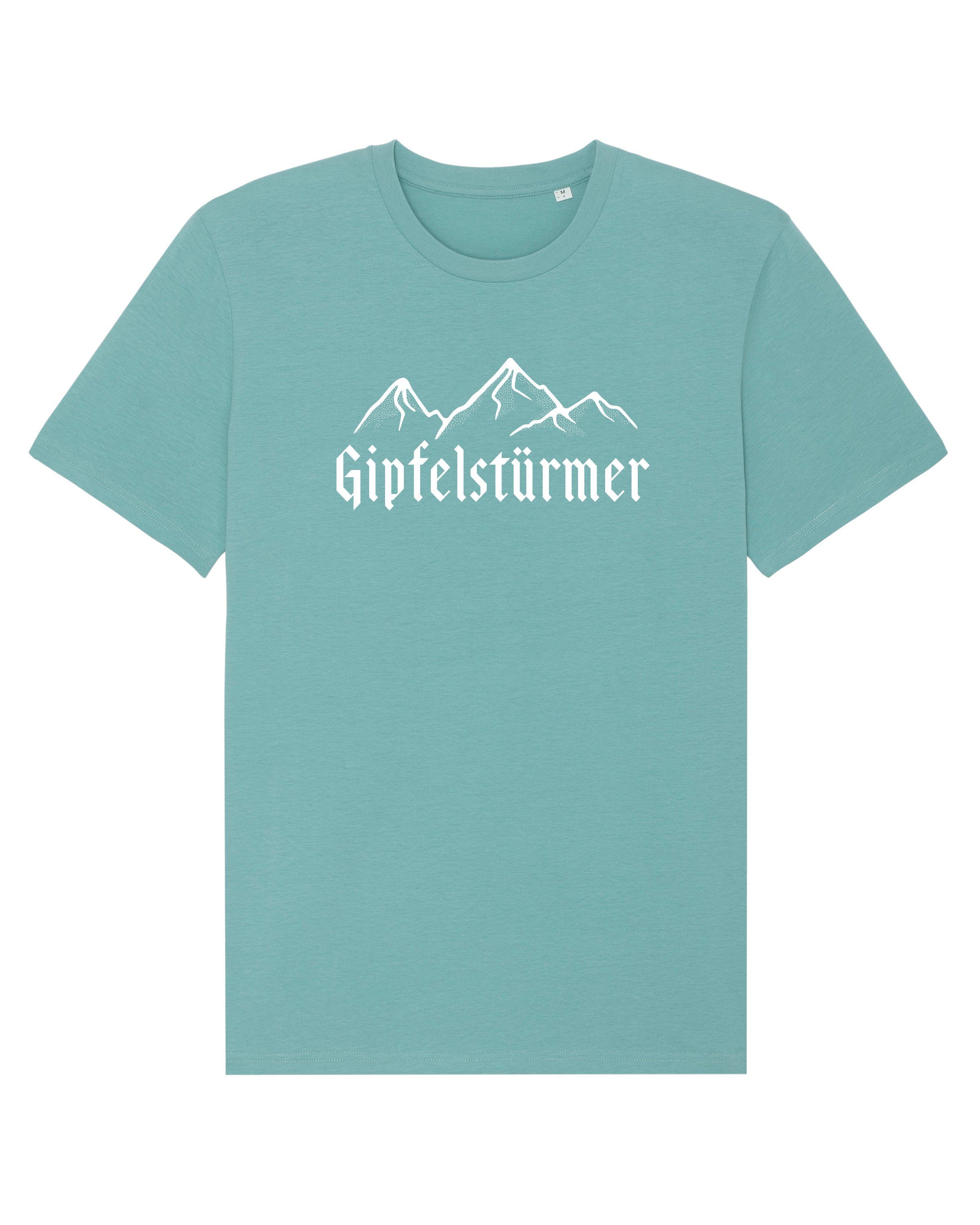 wat? Apparel Print-Shirt Gipfelstürmer (1-tlg) Teal Monstera