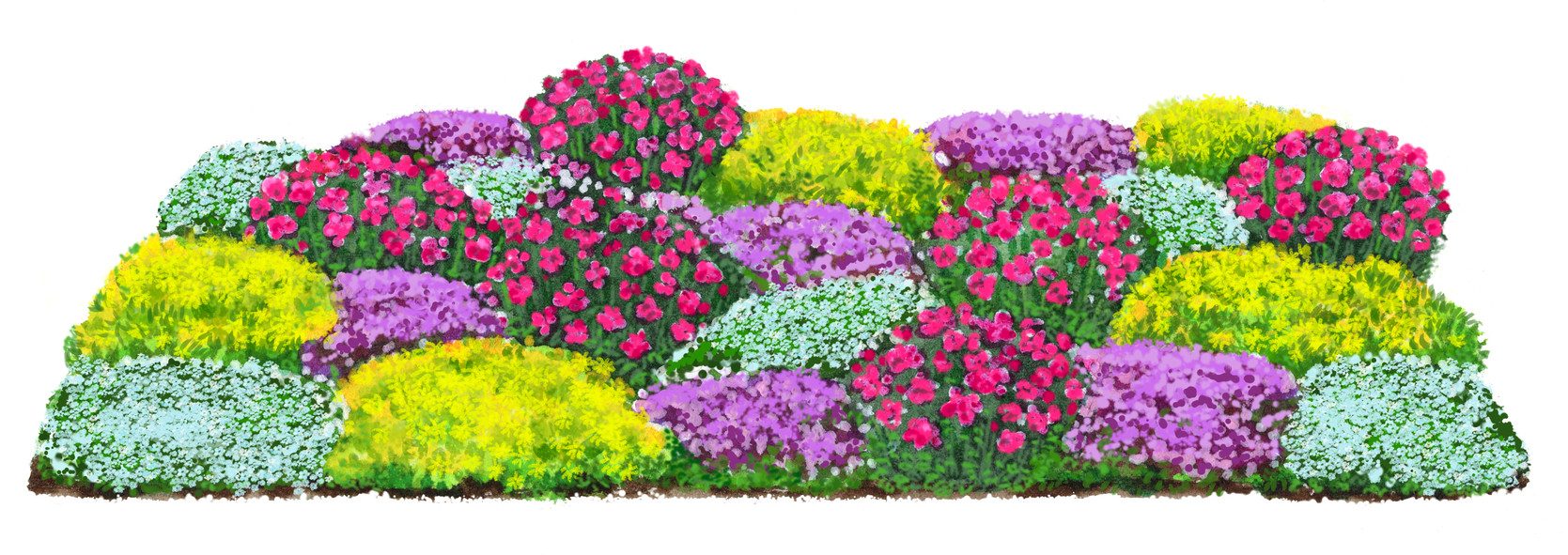 Dehner Staude Bio Stauden-Set Bodendecker, je 5-20 cm exkl. Pflanztopf, Ø Topf 9 cm, je 4x 6 verschiedene, mehrjährige Gartenstauden