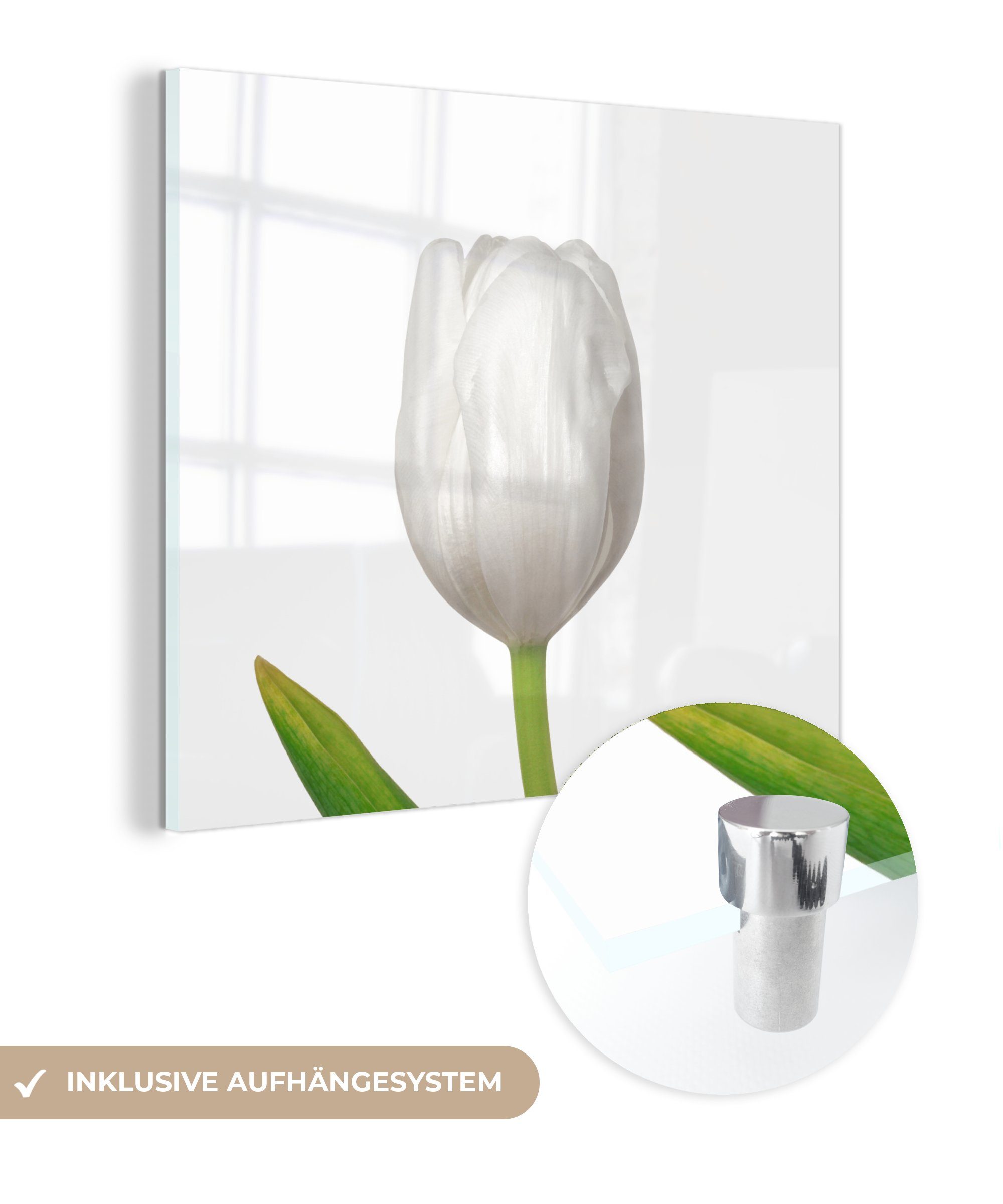 MuchoWow Acrylglasbild Nahaufnahme der Blätter einer weißen Tulpe, (1 St), Glasbilder - Bilder auf Glas Wandbild - Foto auf Glas - Wanddekoration