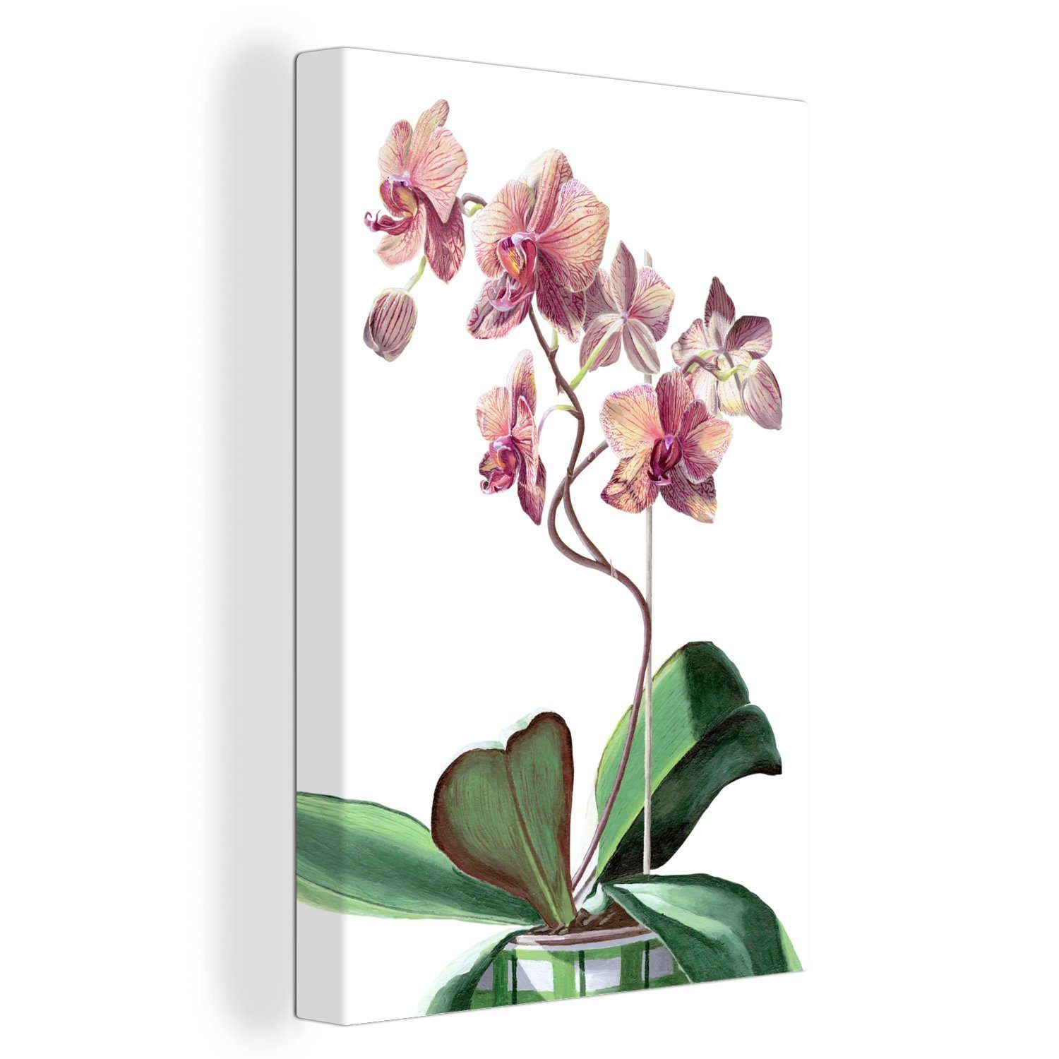 OneMillionCanvasses® Leinwandbild Eine Illustration einer rosa Orchidee auf weißem Hintergrund, (1 St), Leinwandbild fertig bespannt inkl. Zackenaufhänger, Gemälde, 20x30 cm
