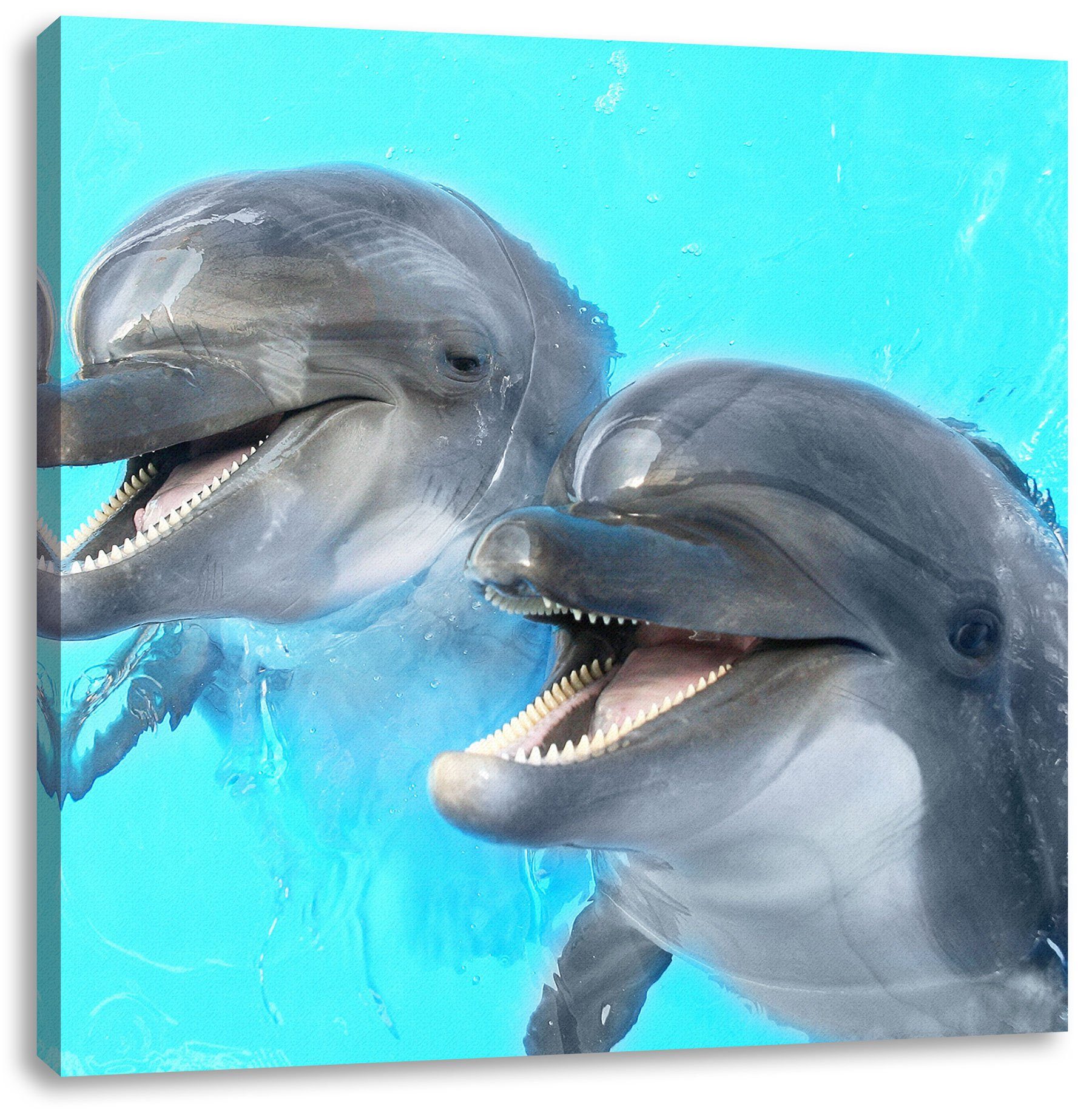 Pixxprint Leinwandbild Delfinpaar, Zackenaufhänger Delfinpaar Leinwandbild fertig inkl. St), (1 bespannt