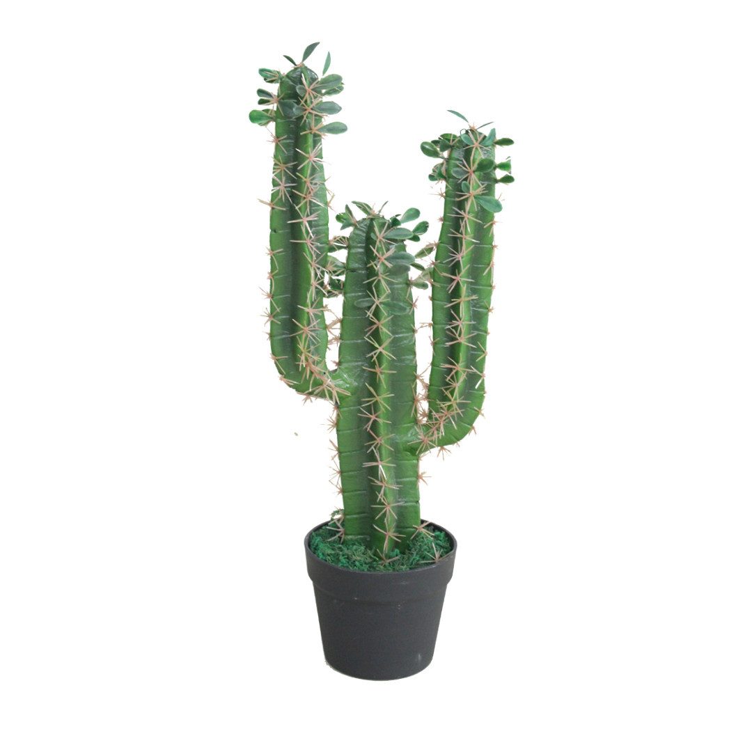 Kunstkaktus SMARAGDLINE Künstliche Kakteen - Sukkulenten in verschiedenen G günstig online kaufen
