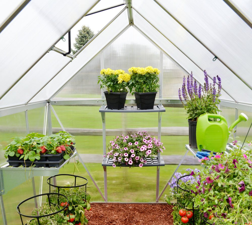 Palram - Canopia Gewächshaus, x 208 | ... Palram - Canopia Gewächshaus, x 208 | ...